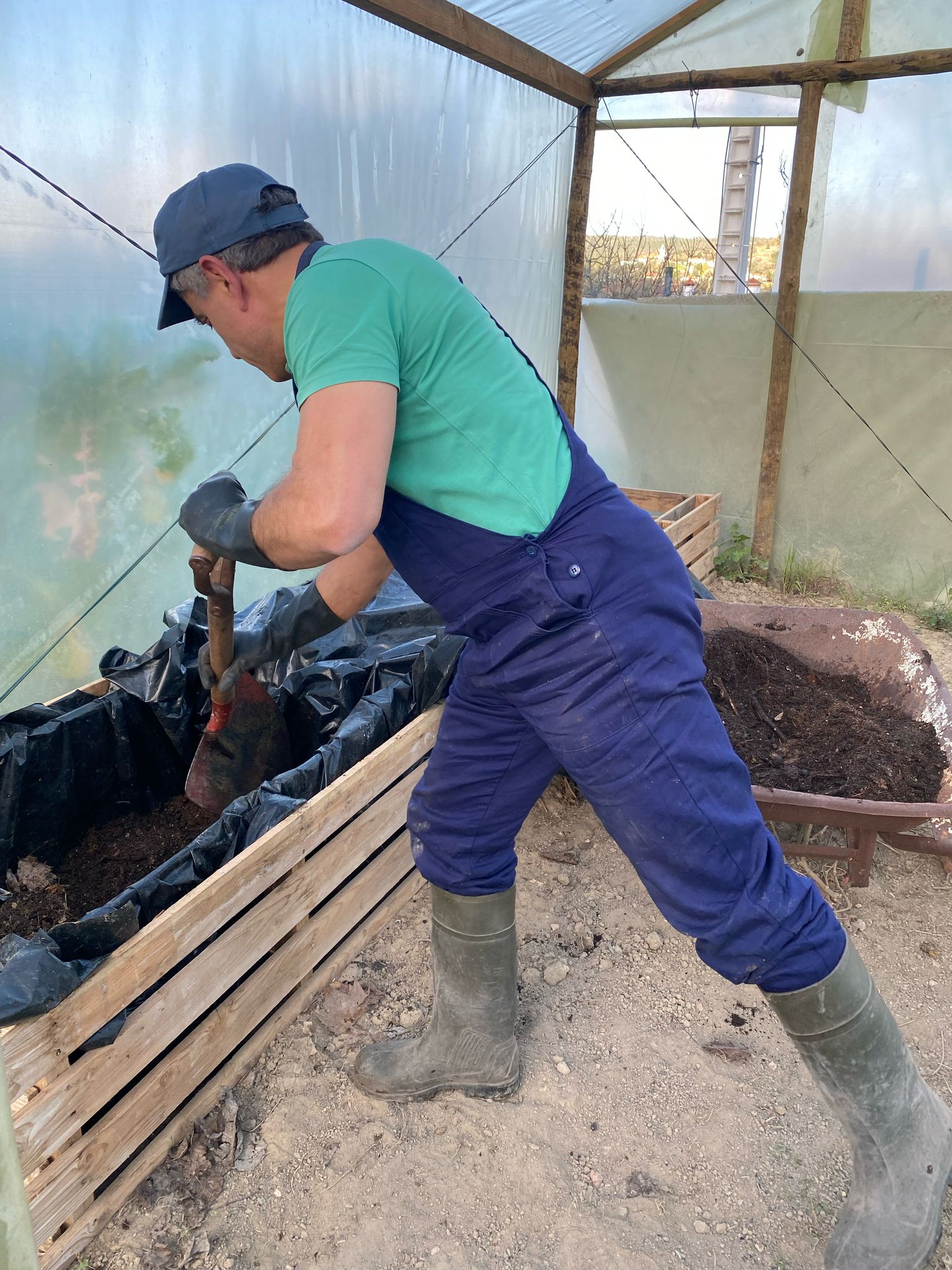 É importante escolher uma terra sem químicos. Neste caso, esta terra foi o resultado de folhas secas das árvores do recinto escolar que têm sido acumuladas neste recanto durante os últimos anos (em jeito de compostagem).