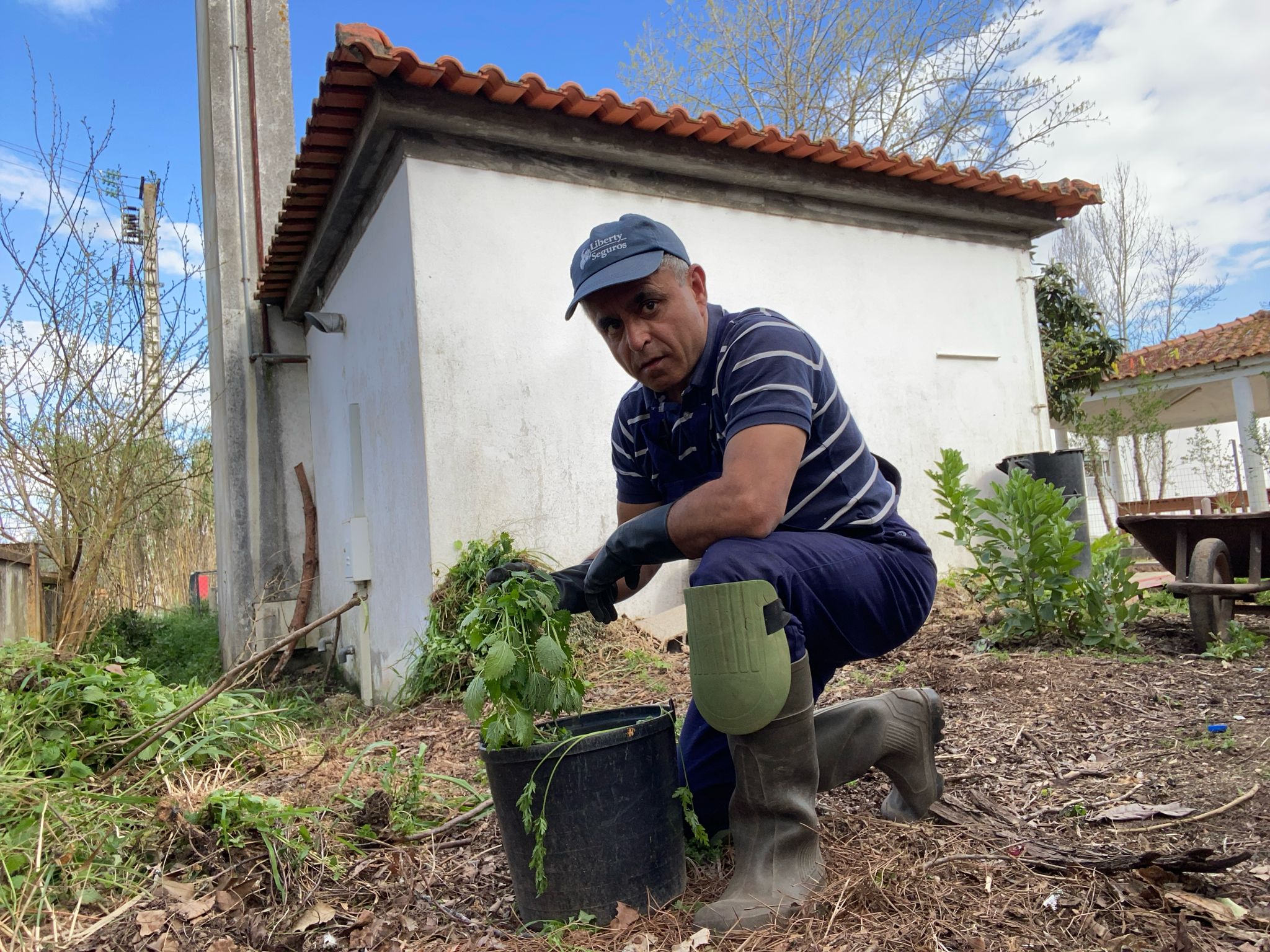 A horta biológica implica não haver produtos químicos e, neste caso, foi necessário um adubo natural que consiste na maceração de ortigas em um balde de água. O cheiro não é de todo agradável, mas é, sem dúvida, mais saudável.