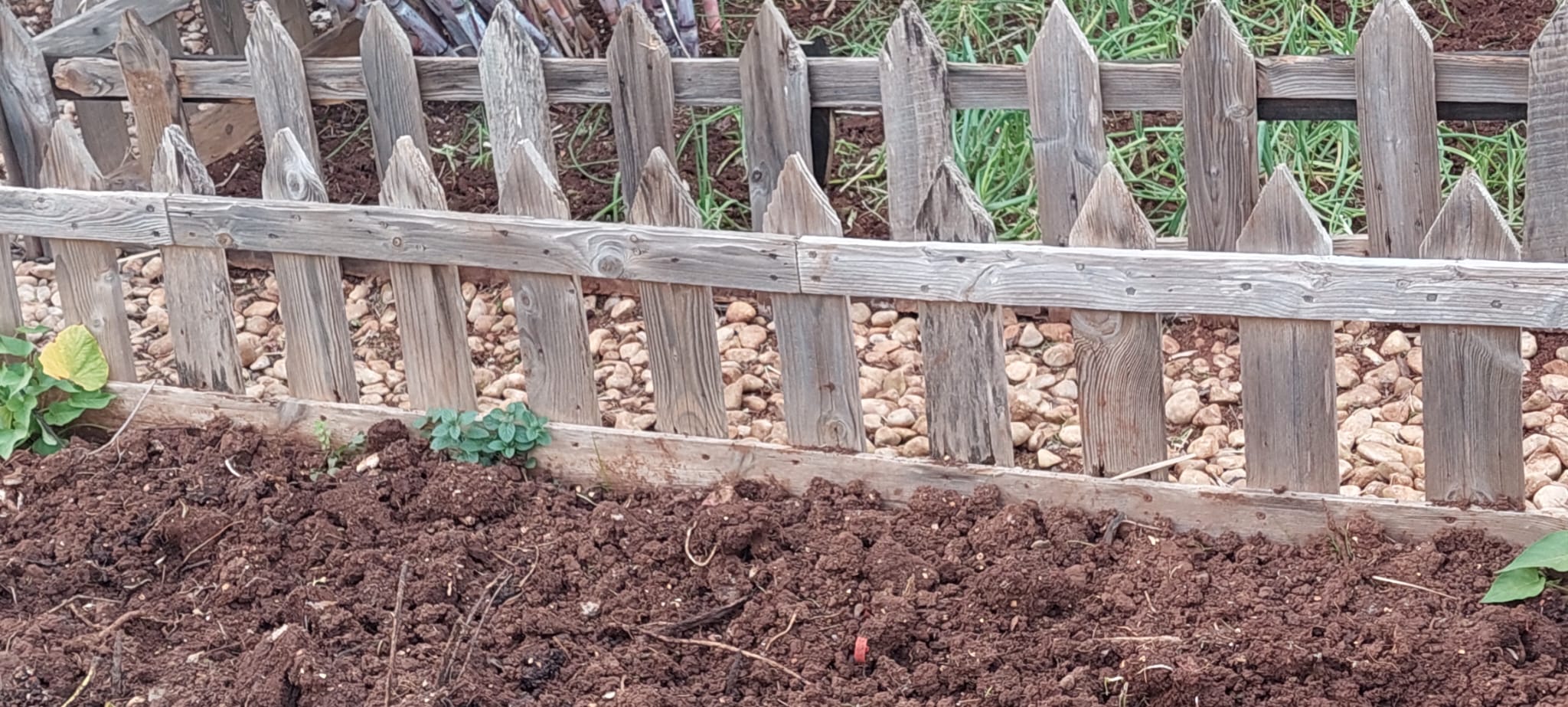 Preparação do terreno
