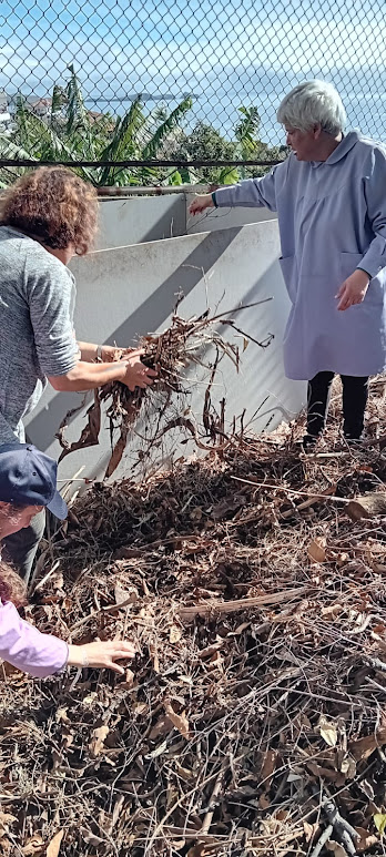 Seleção do composto natural para horta que foi colocado no compostor para posteriormente ser colocado na terra.