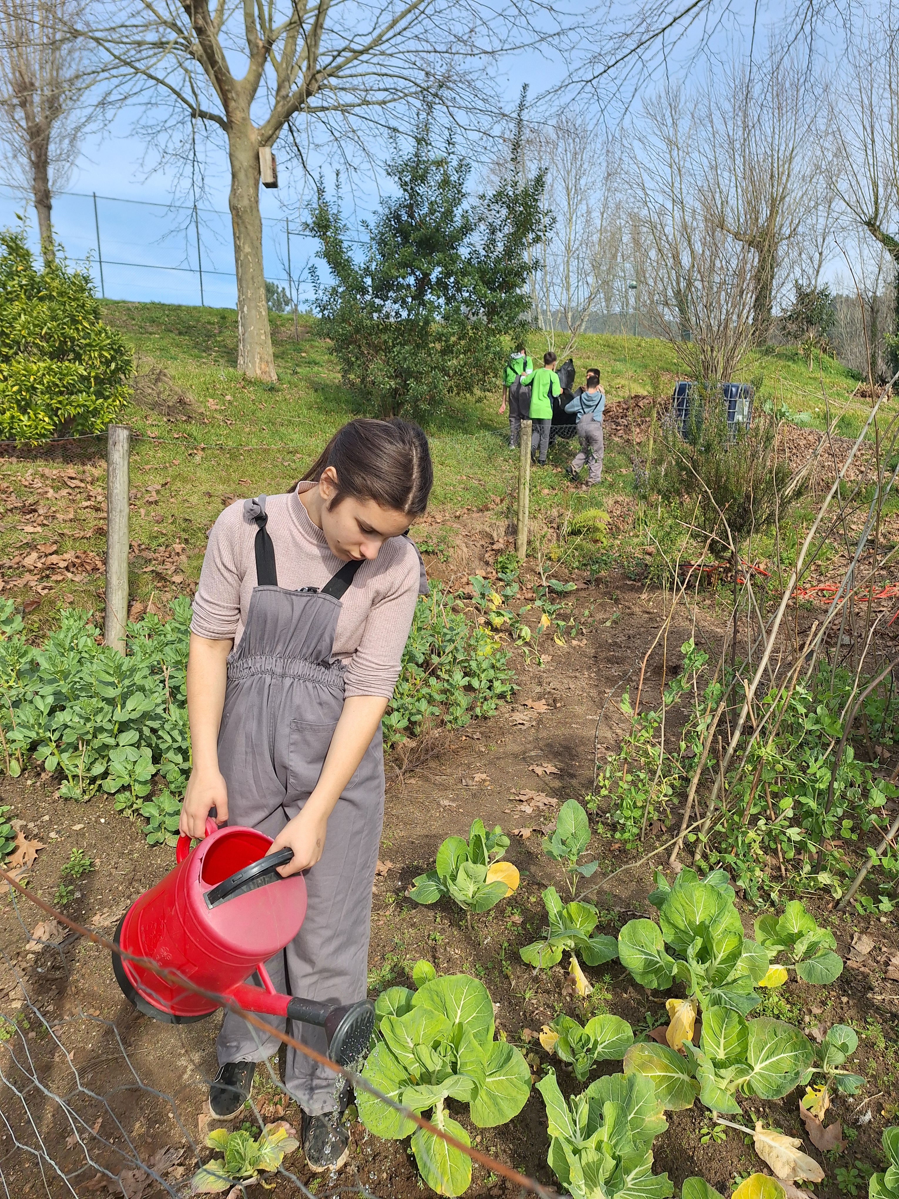 Clube de Hortofloricultura faz a manutenção da horta - rega  das  hortícolas. Alguns alunos  colocam resíduos na pilha de compostagem.