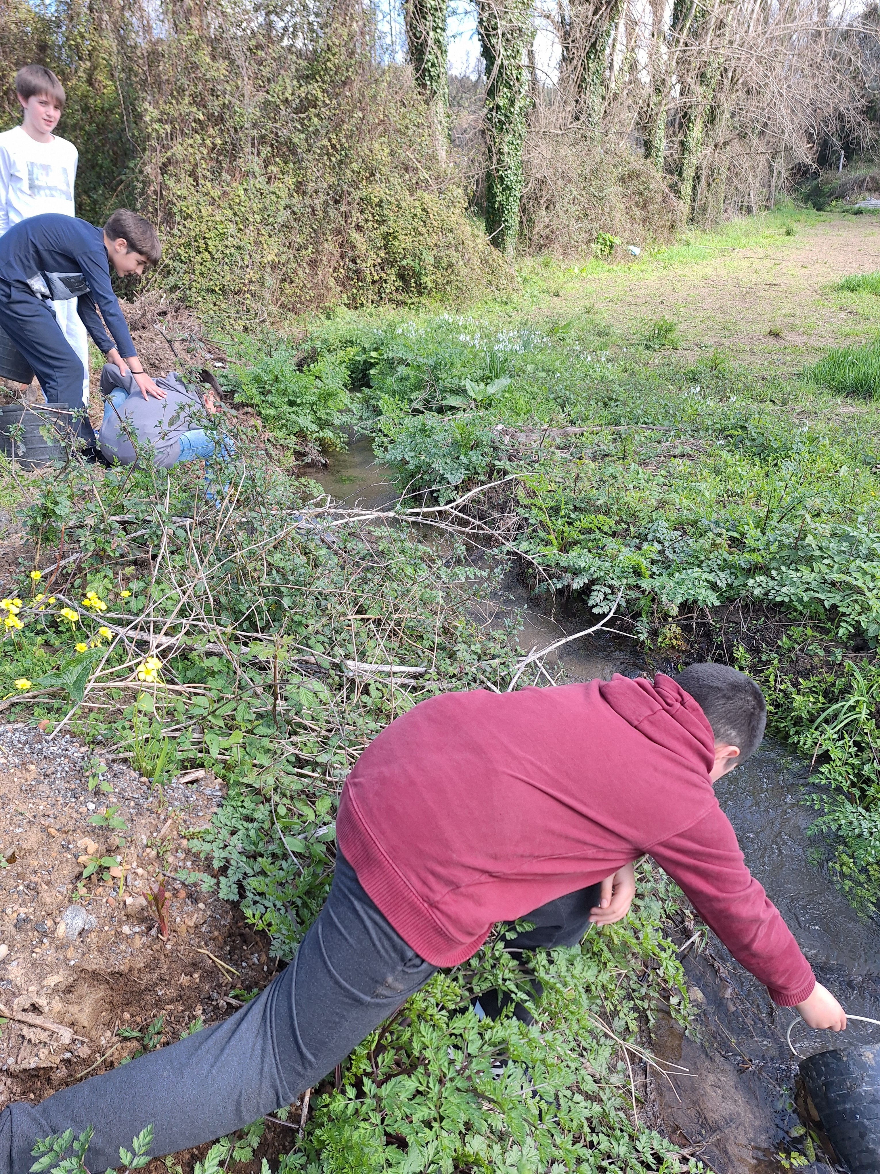 Recolha de água no ribeiro adjacente à horta para rega das hortícolas da estufa e horta.