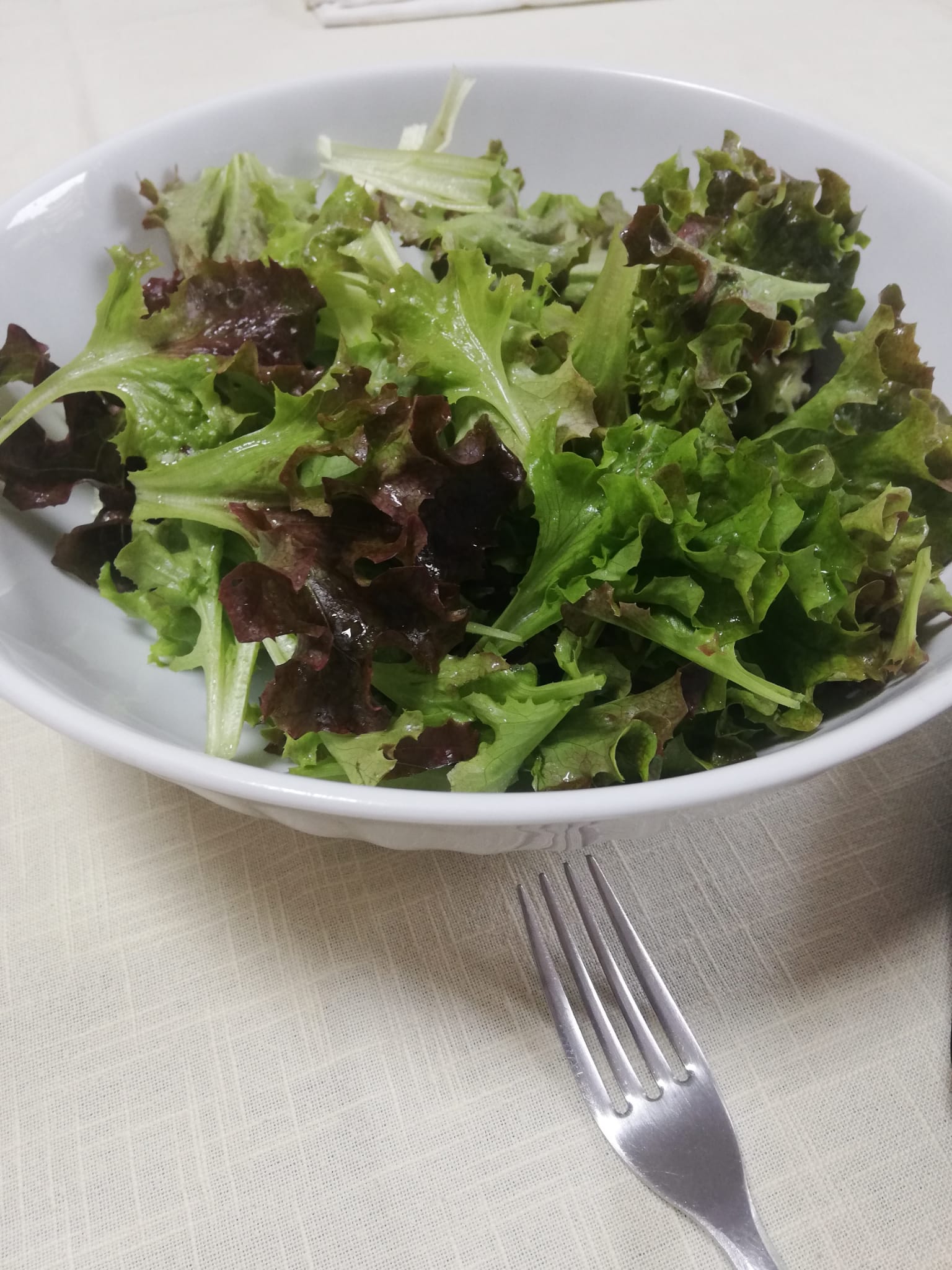 Salada deliciosa com as alfaces colhidas