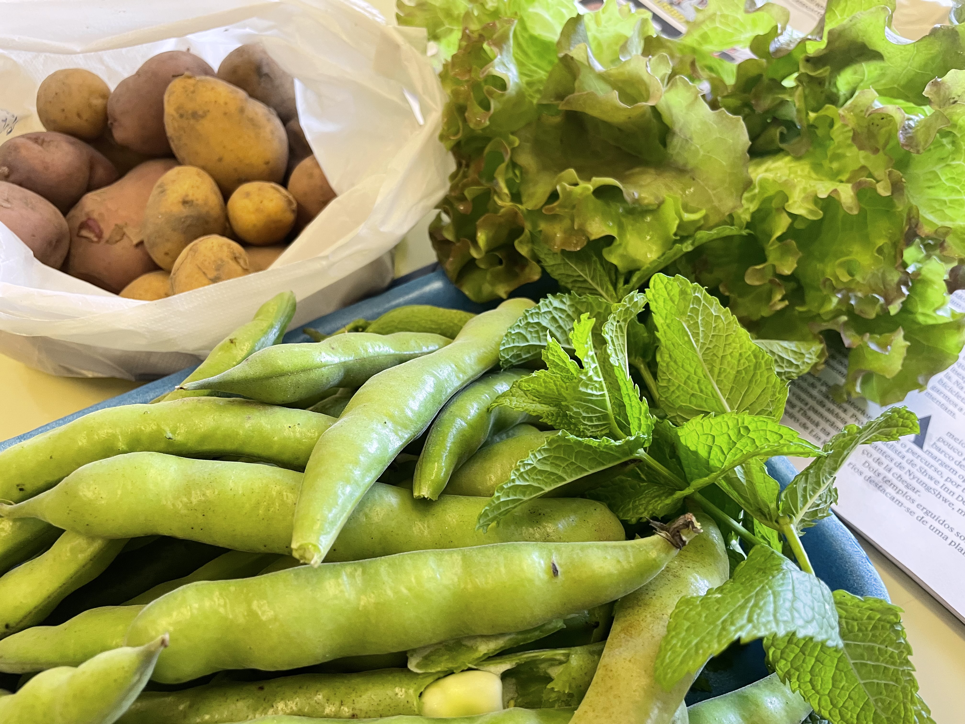 Alguns hortícolas produzidos na nossa Horta.