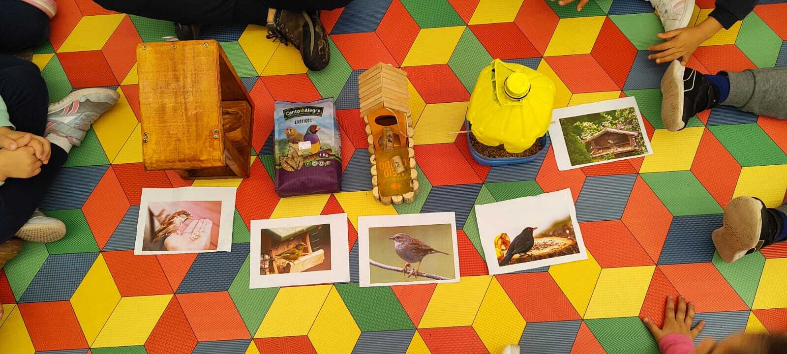 Concurso "Construção de abrigo para aves" - Comunidade educativa.
- Utilização de materiais recicláveis.