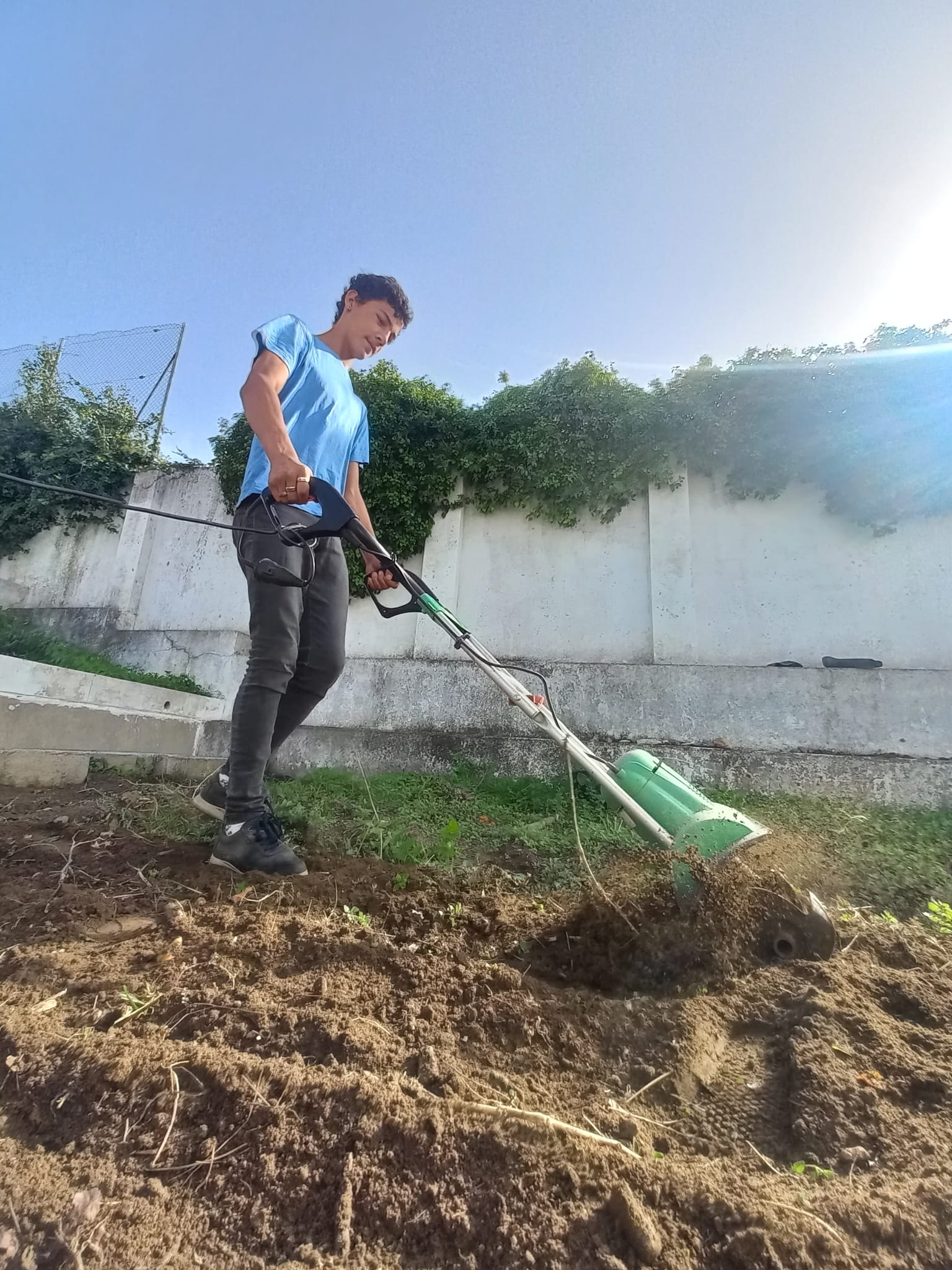 Preparação do terreno com moto enxada.