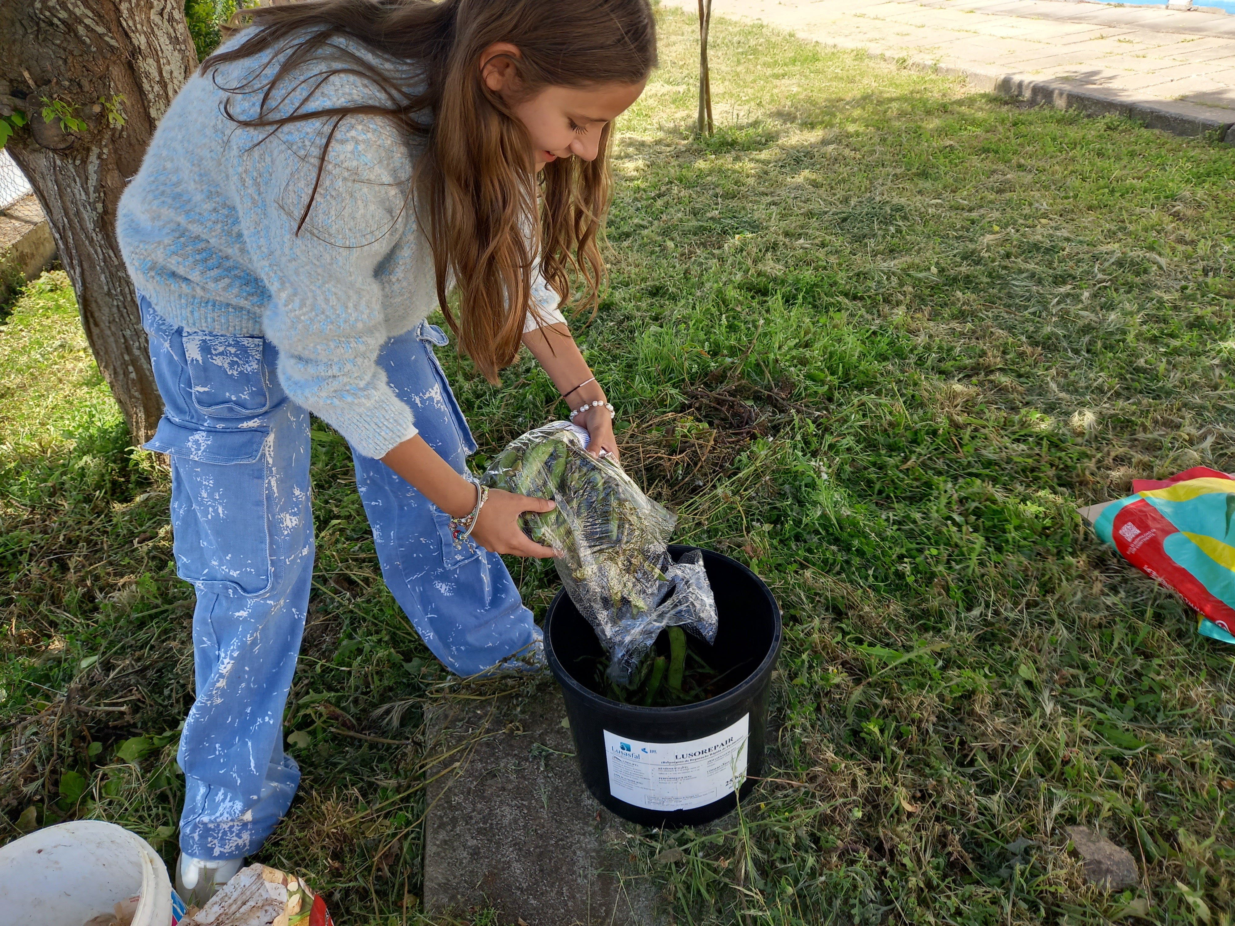 Deposição de restos de hortícolas utilizadas na cozinha dos alunos (cascas de favas).