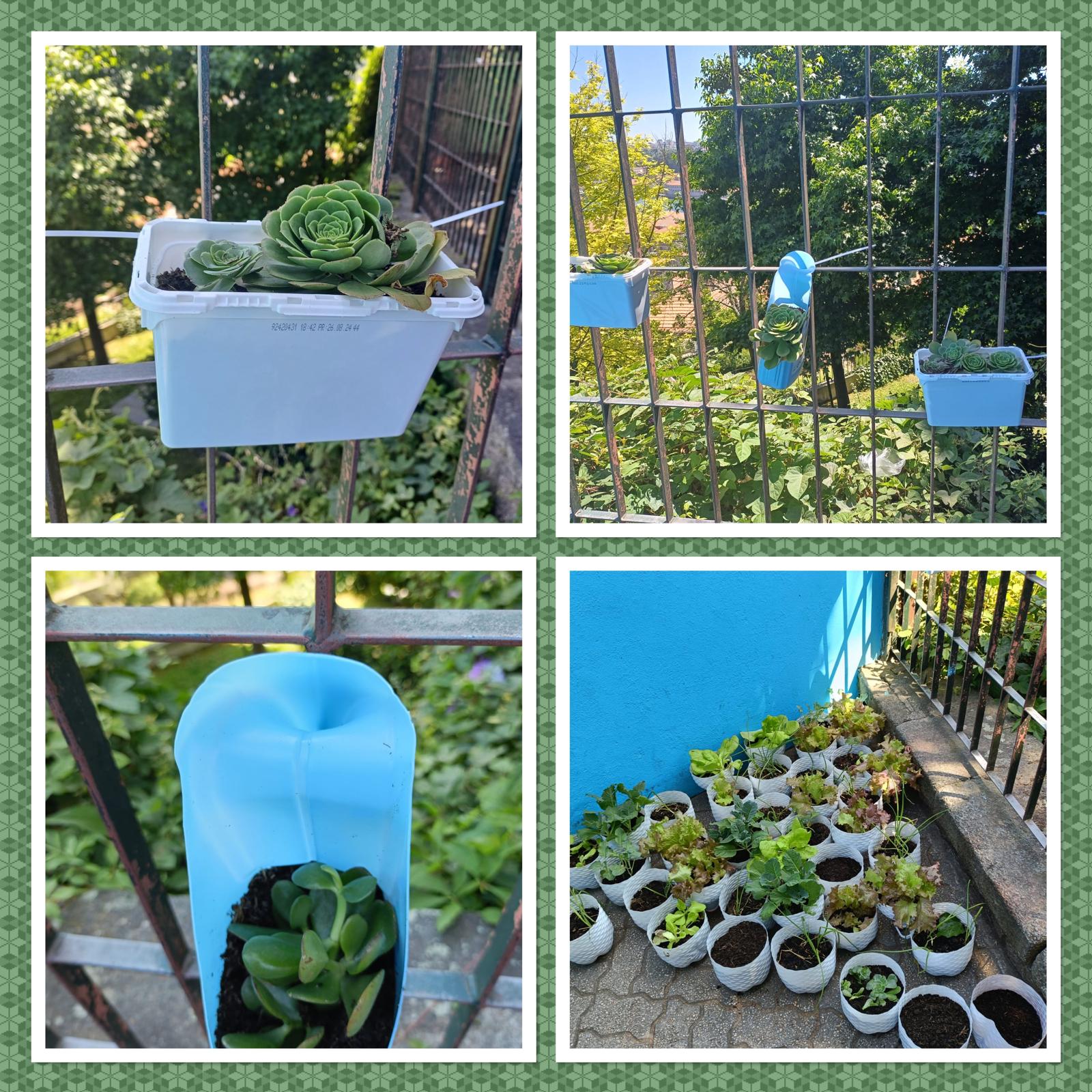 Horta vertical!!!