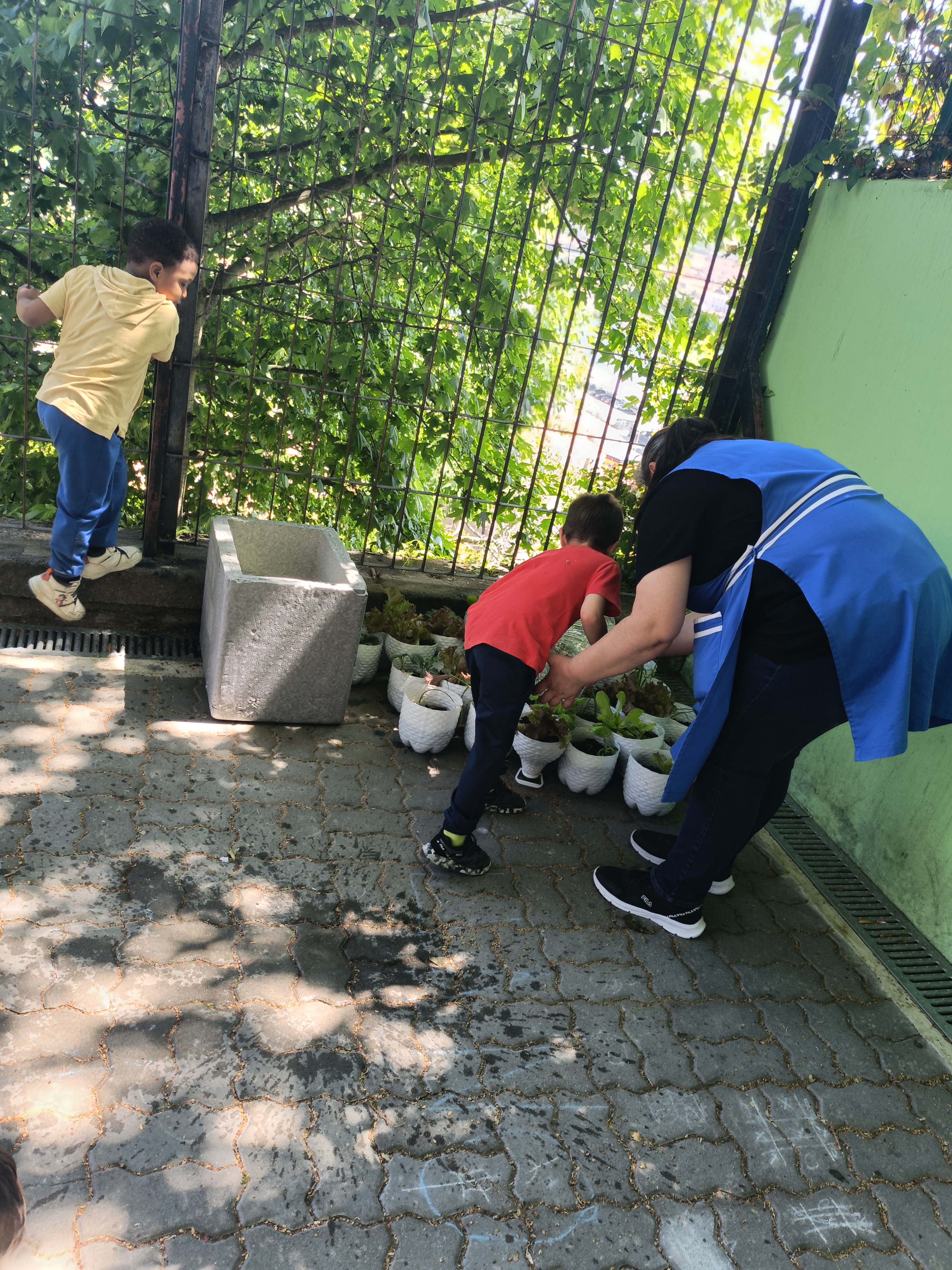 Nos fins de semana de muito calor, por vezes trocamos a nossa horta de lugar, a nossa horta era portátil, no final do ano cada um de nós levou um pedaço para casa.