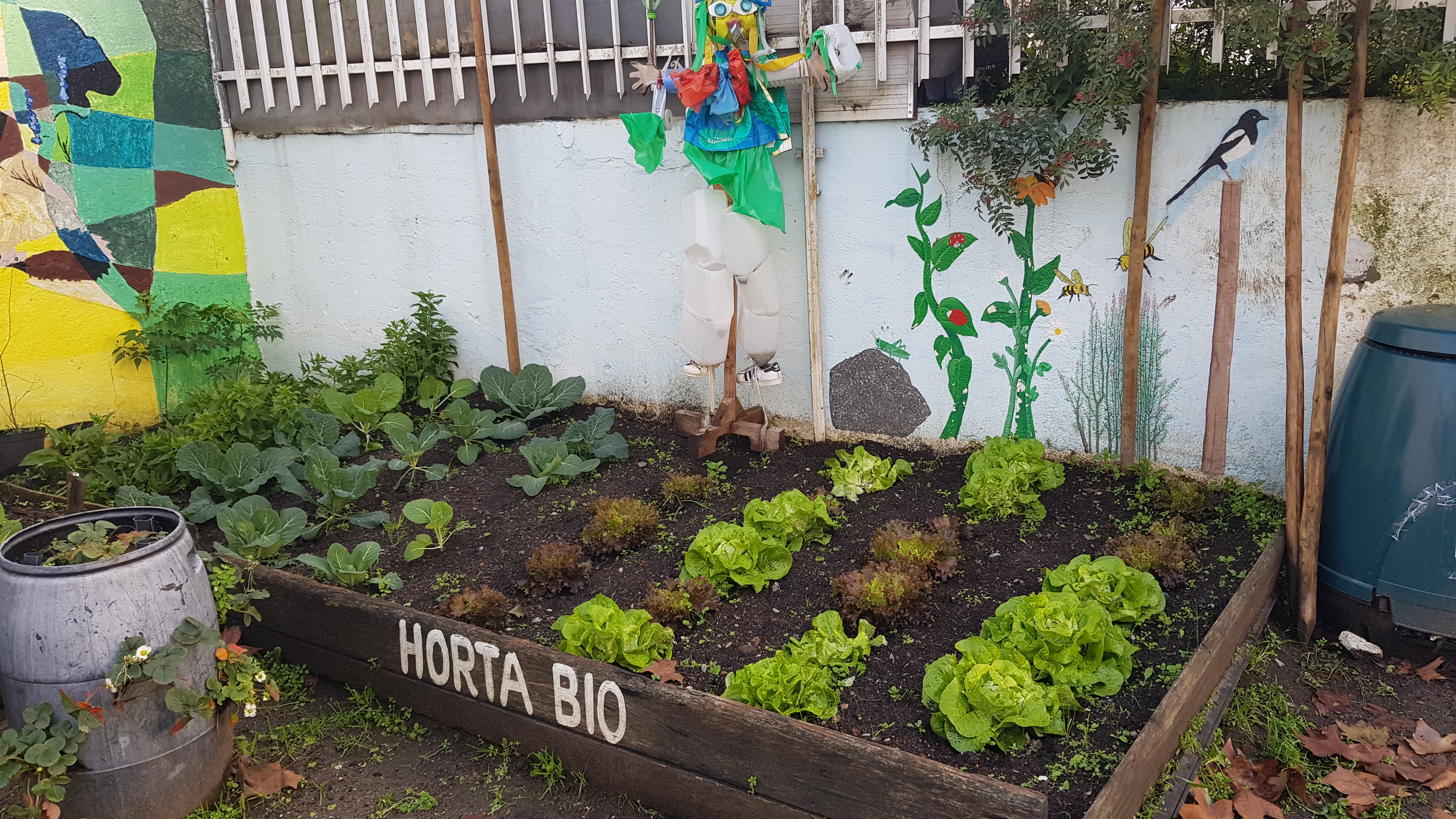 Horta mondada.