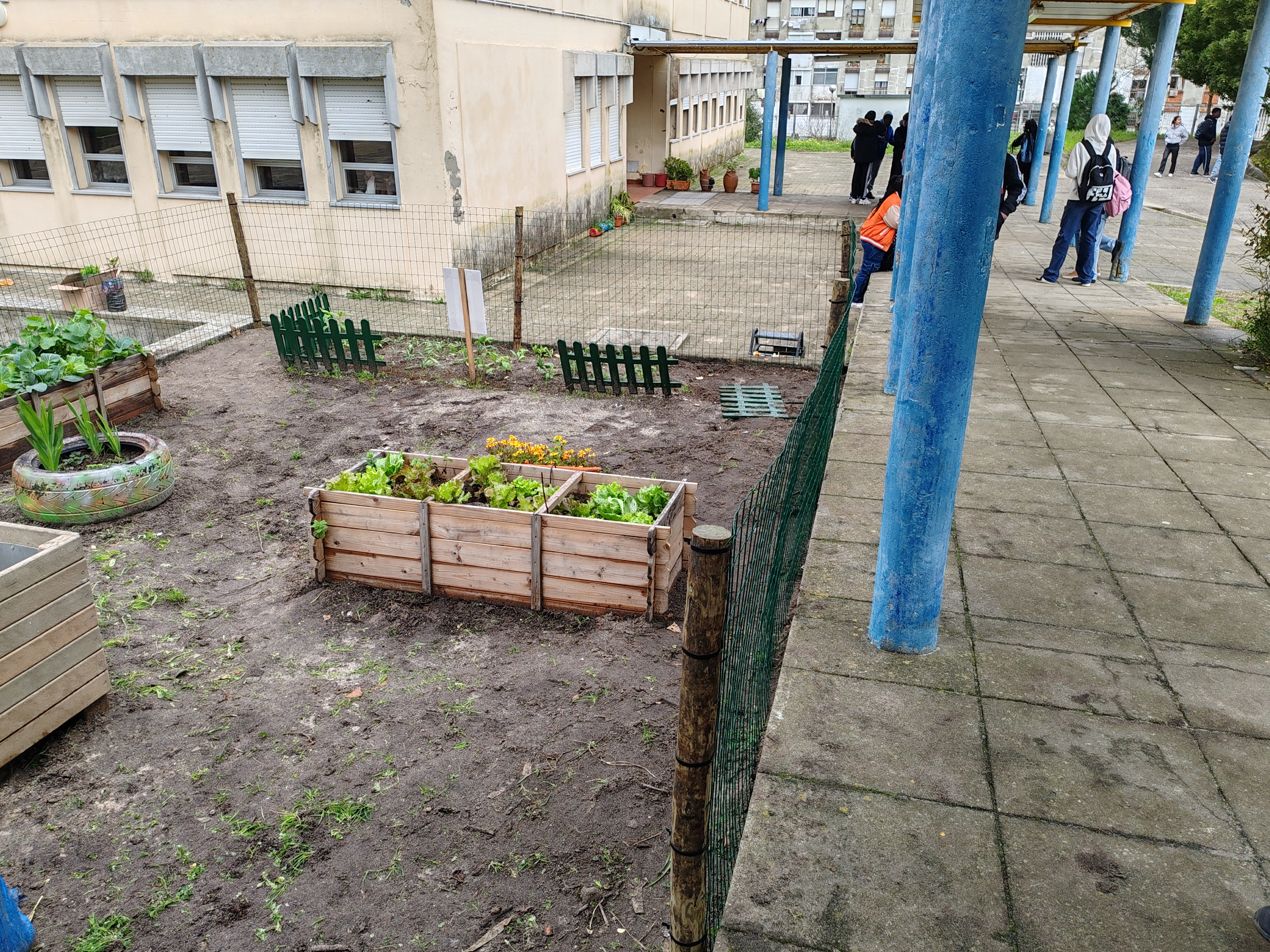 Horta (vista geral com gradeamento)
