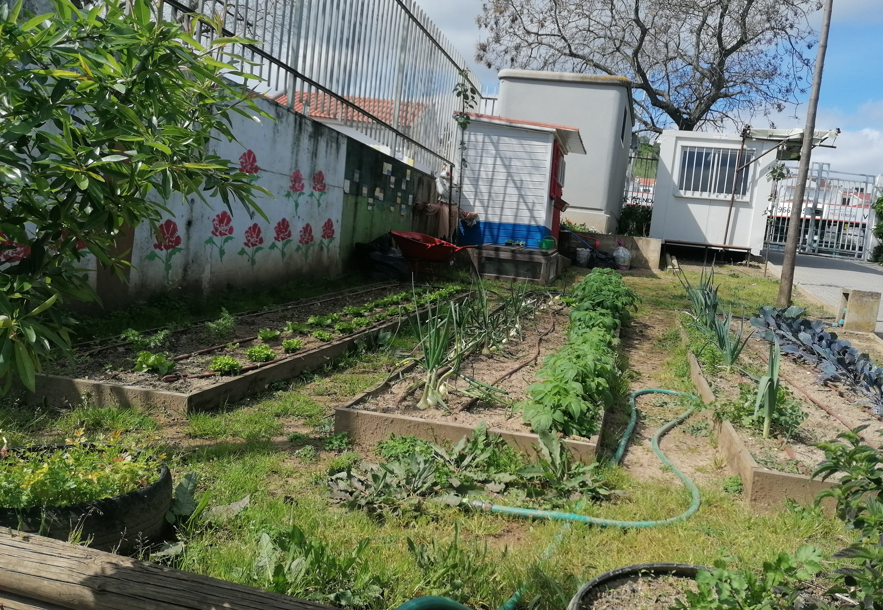 Horta em março-geral
