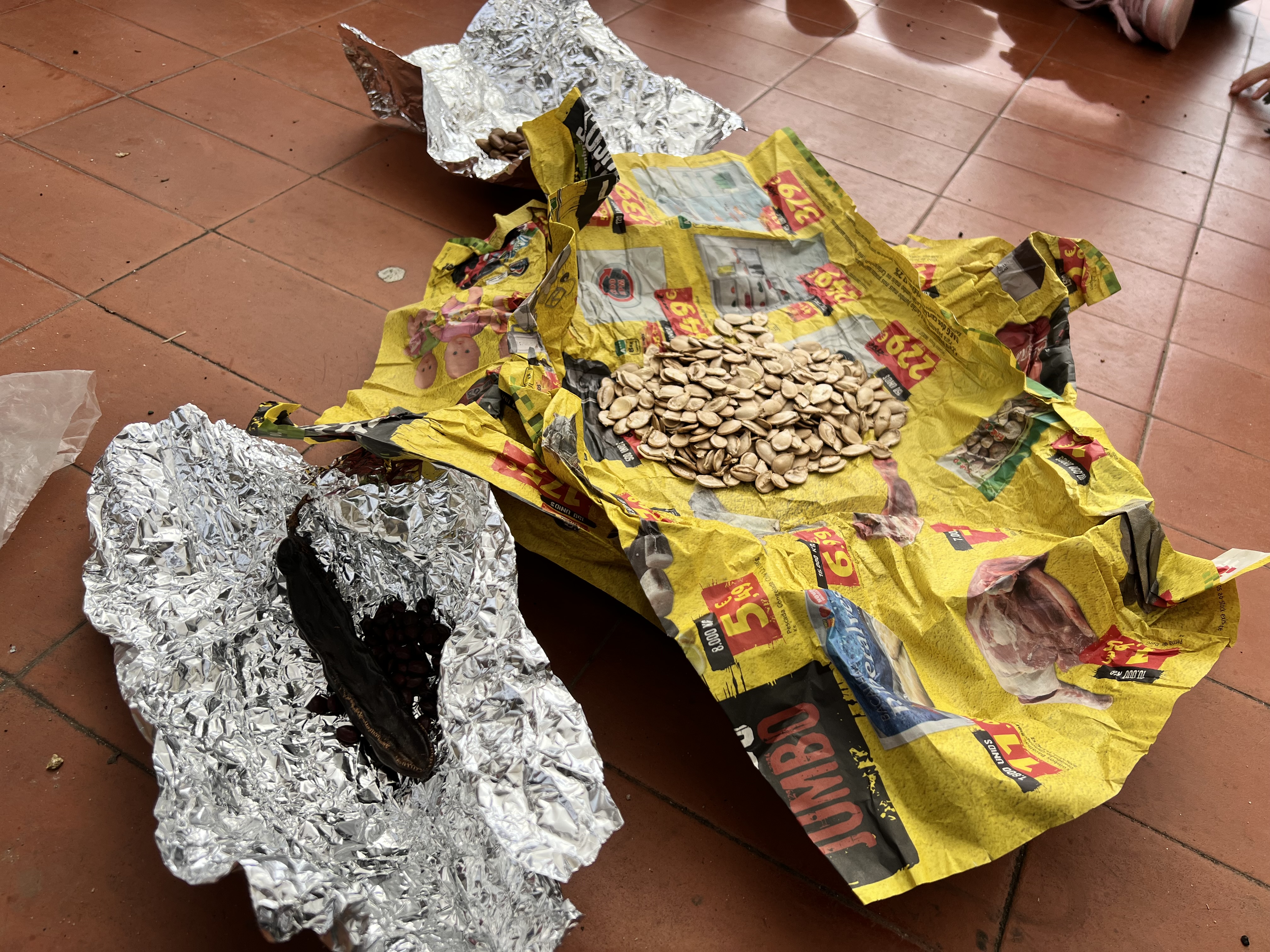 Horta do Jardim de Infância - Sementes escolhidas pelos alunos do Jardim de Infância para semear no canteiro 1