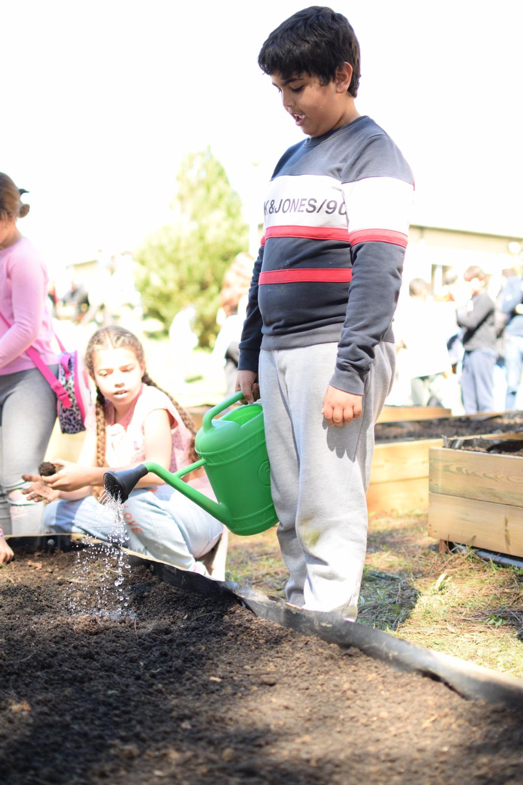 A rega das plantações, tendo os alunos a responsabilidade  da manutenção da horta.