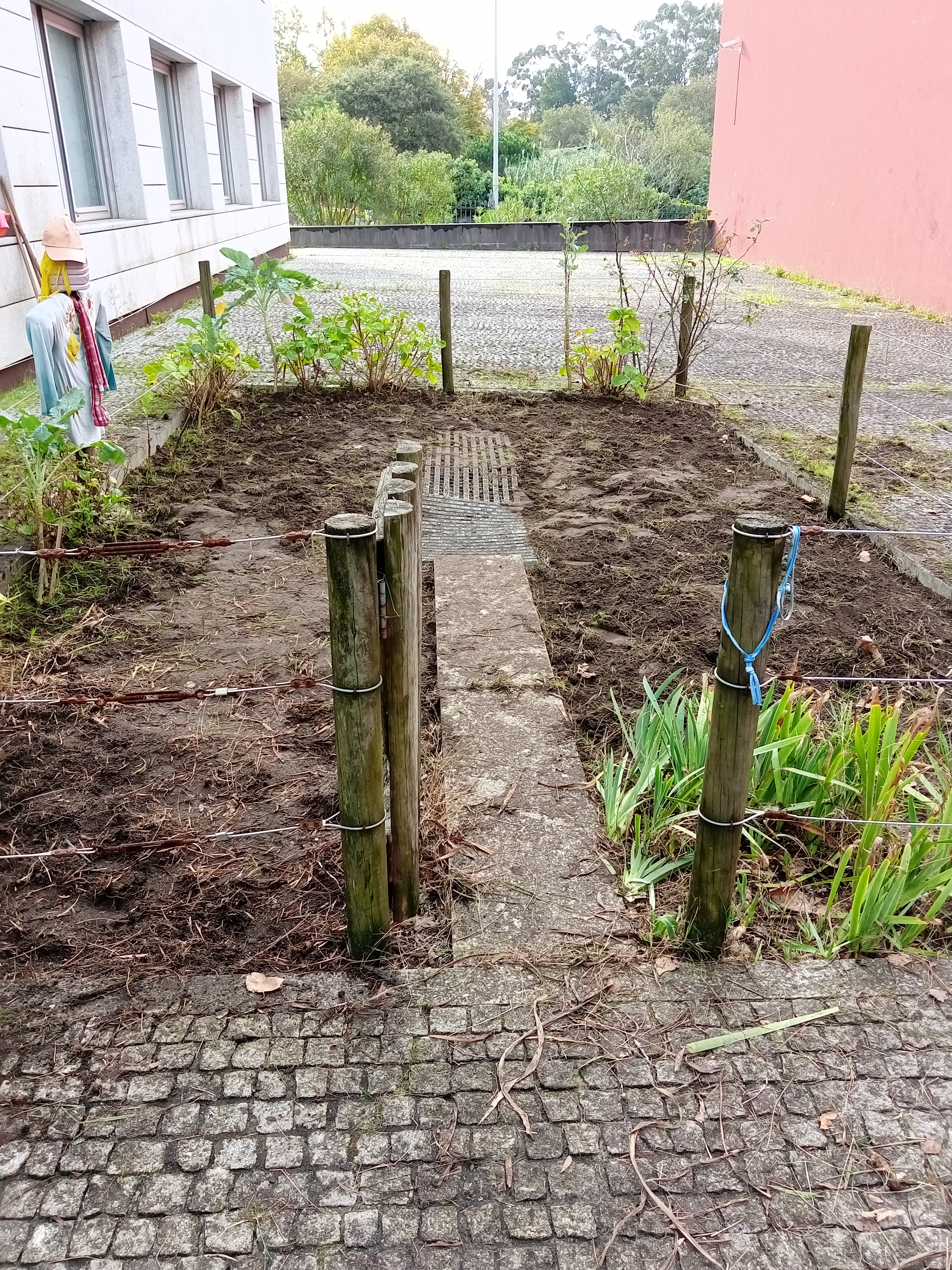 Horta limpa e pronta para as sementeiras.