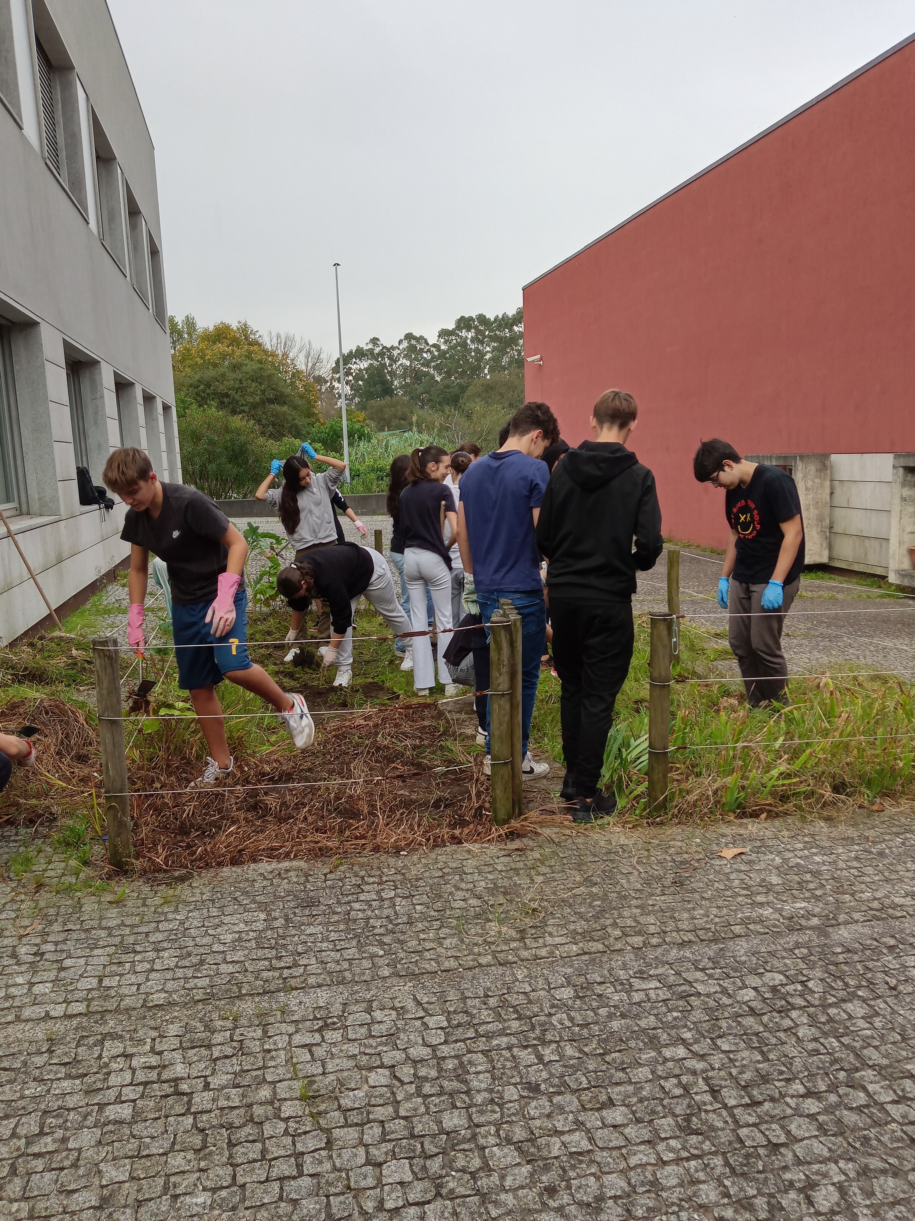 No recomeço do ano letivo é necessário fazer a habitual limpeza do terreno da horta.
