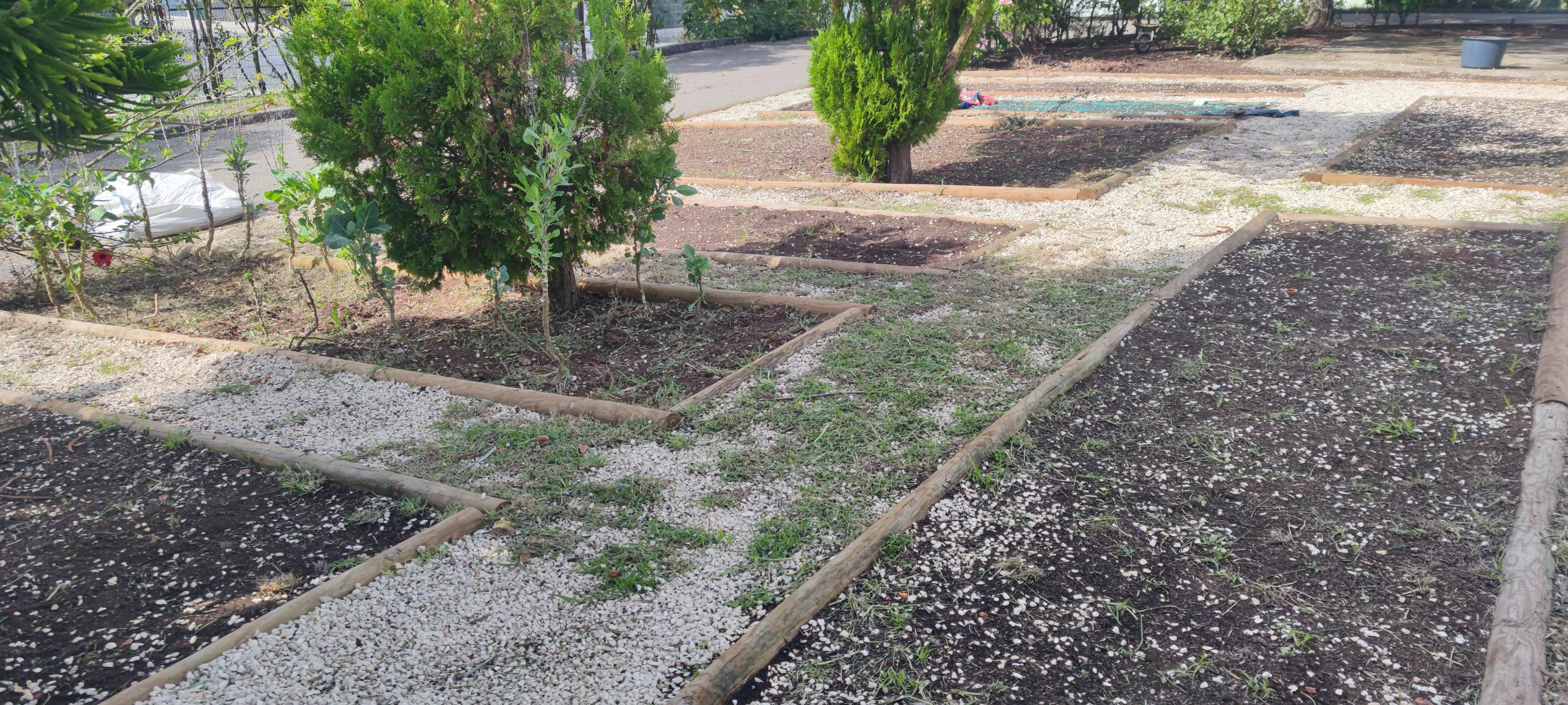 Horta em finais de setembro – Visão geral antes da limpeza e inicio dos trabalhos