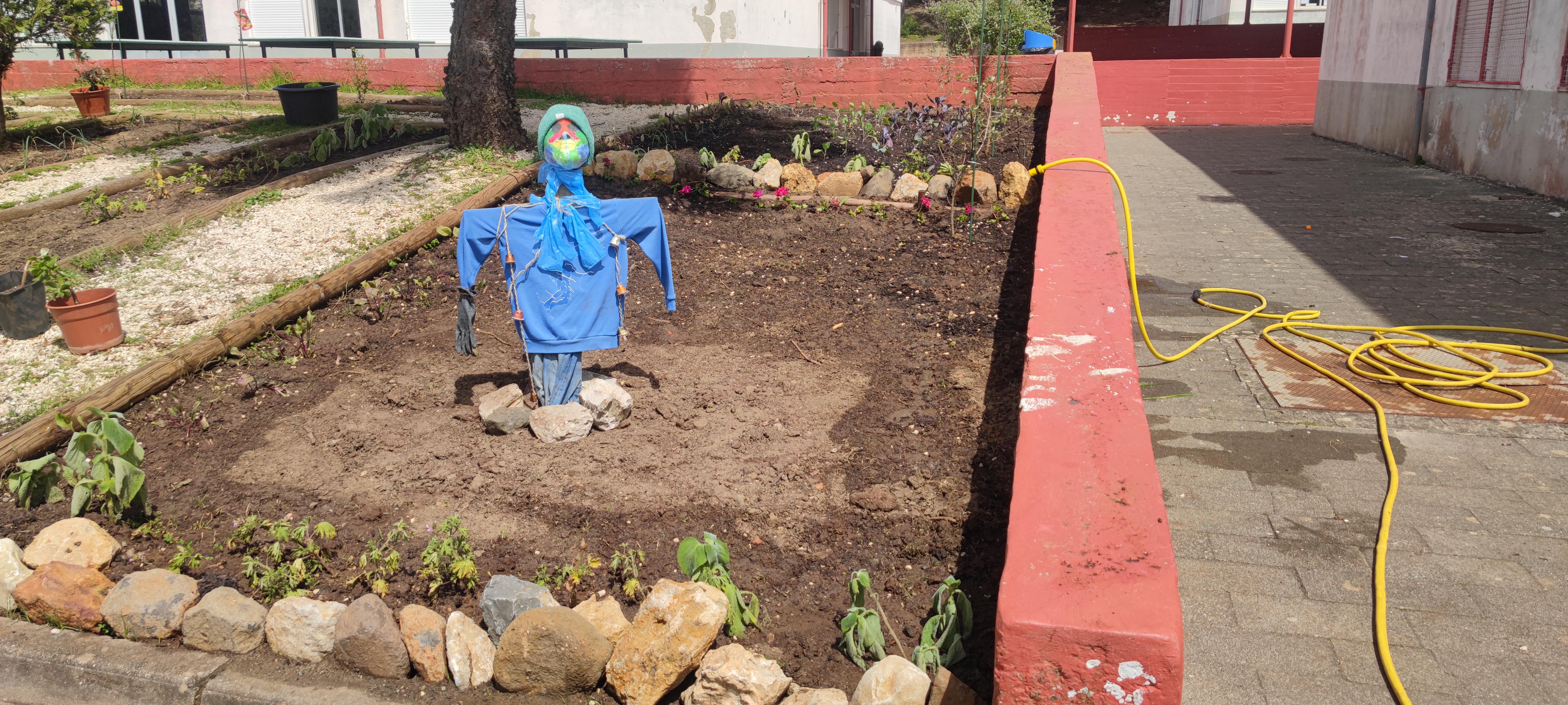 Rock Garden - Bordaduras superior e inferior com Boldo e Pelargonium.
Lado esquerdo com plantação de beterraba e por detrás do espantalho, setor com batatas.