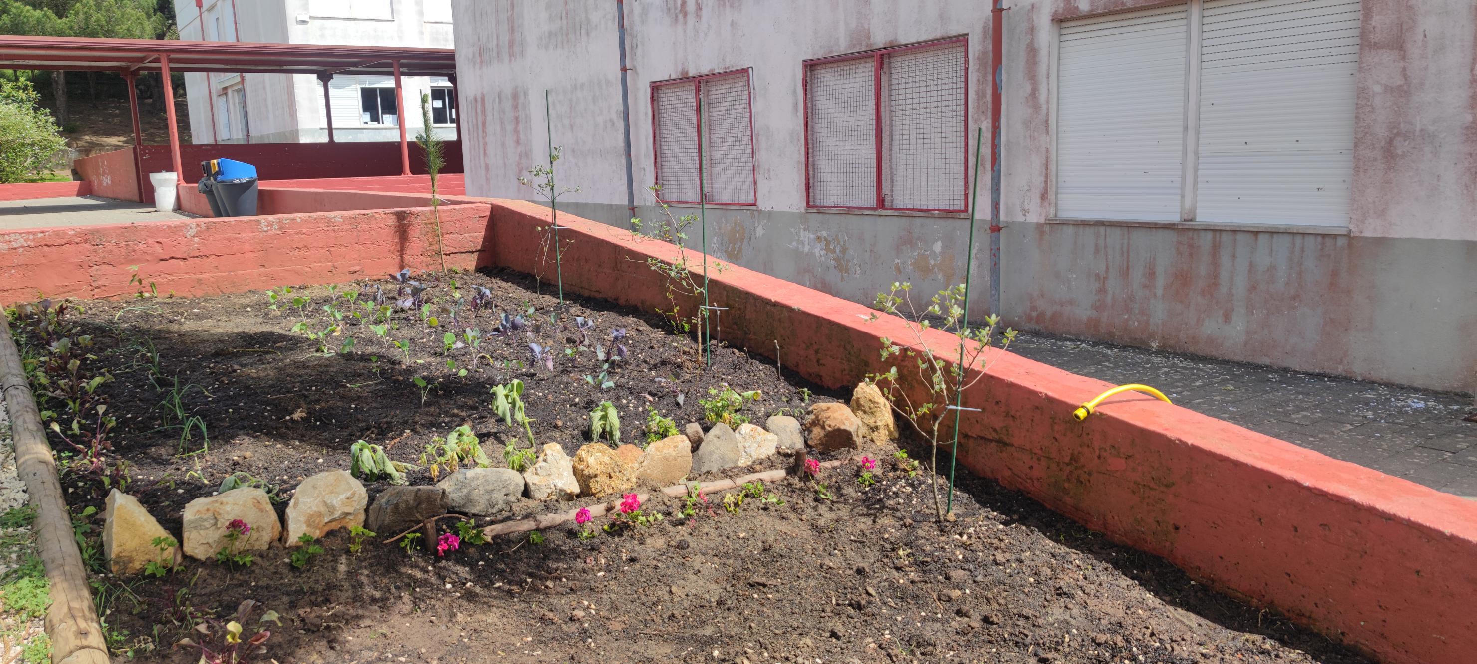 Parte superior do Rock Garden e da esquerda para a direita, plantação de beterrabas, cebola, couve portuguesa e couve roxa. 
Inicio da construção de um corredor ecológico com loureiros, pinheiro e Quercus.