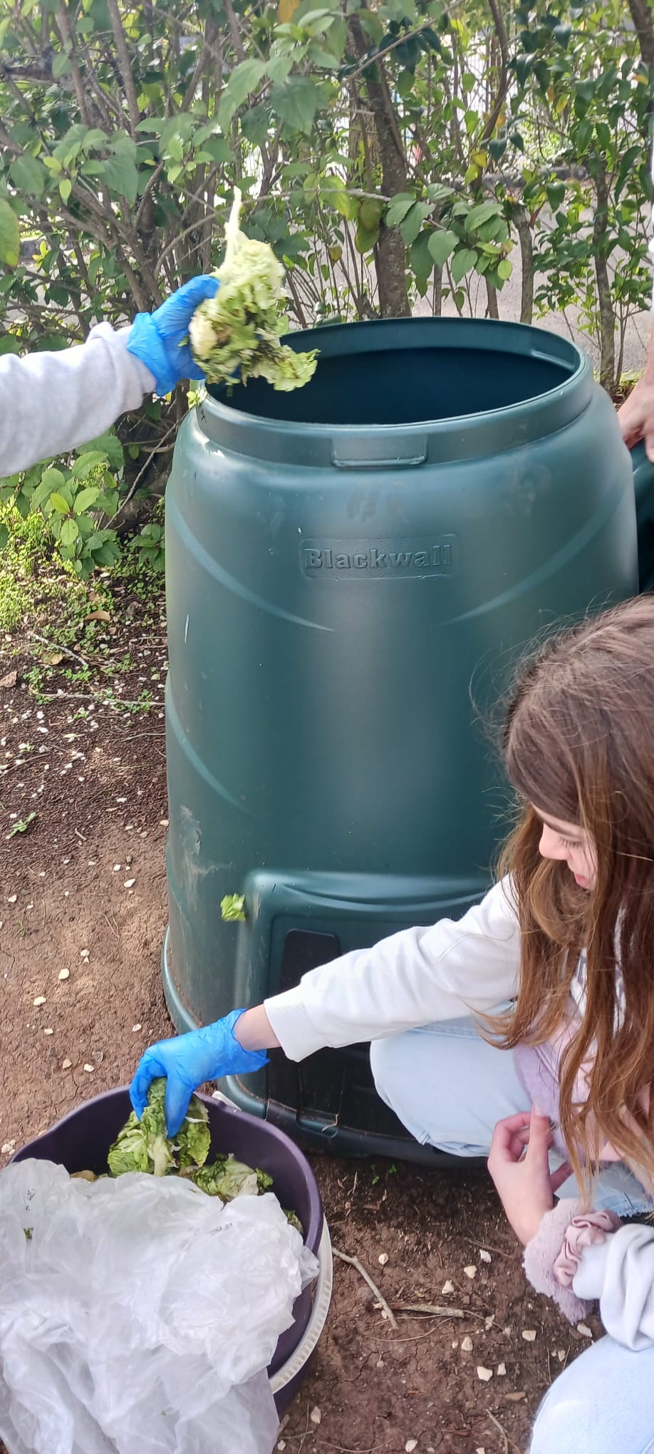 Compostagem - Crus provenientes da cantina escolar.