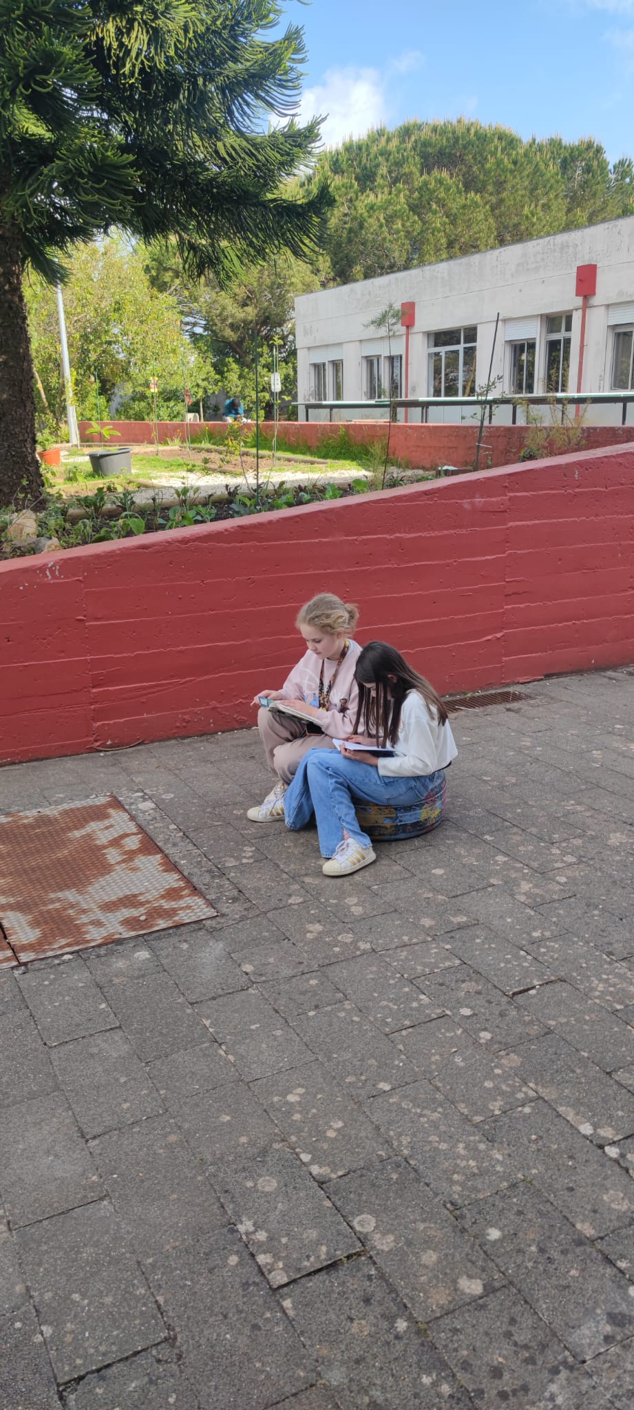 Alunas que escolheram um local junto à horta para o seu momento de leitura.