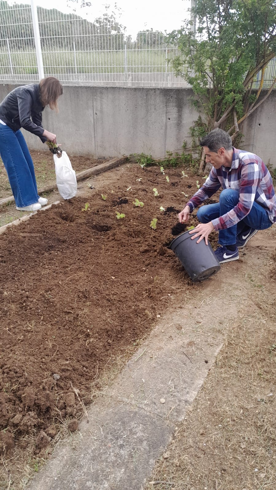 1ªas plantações