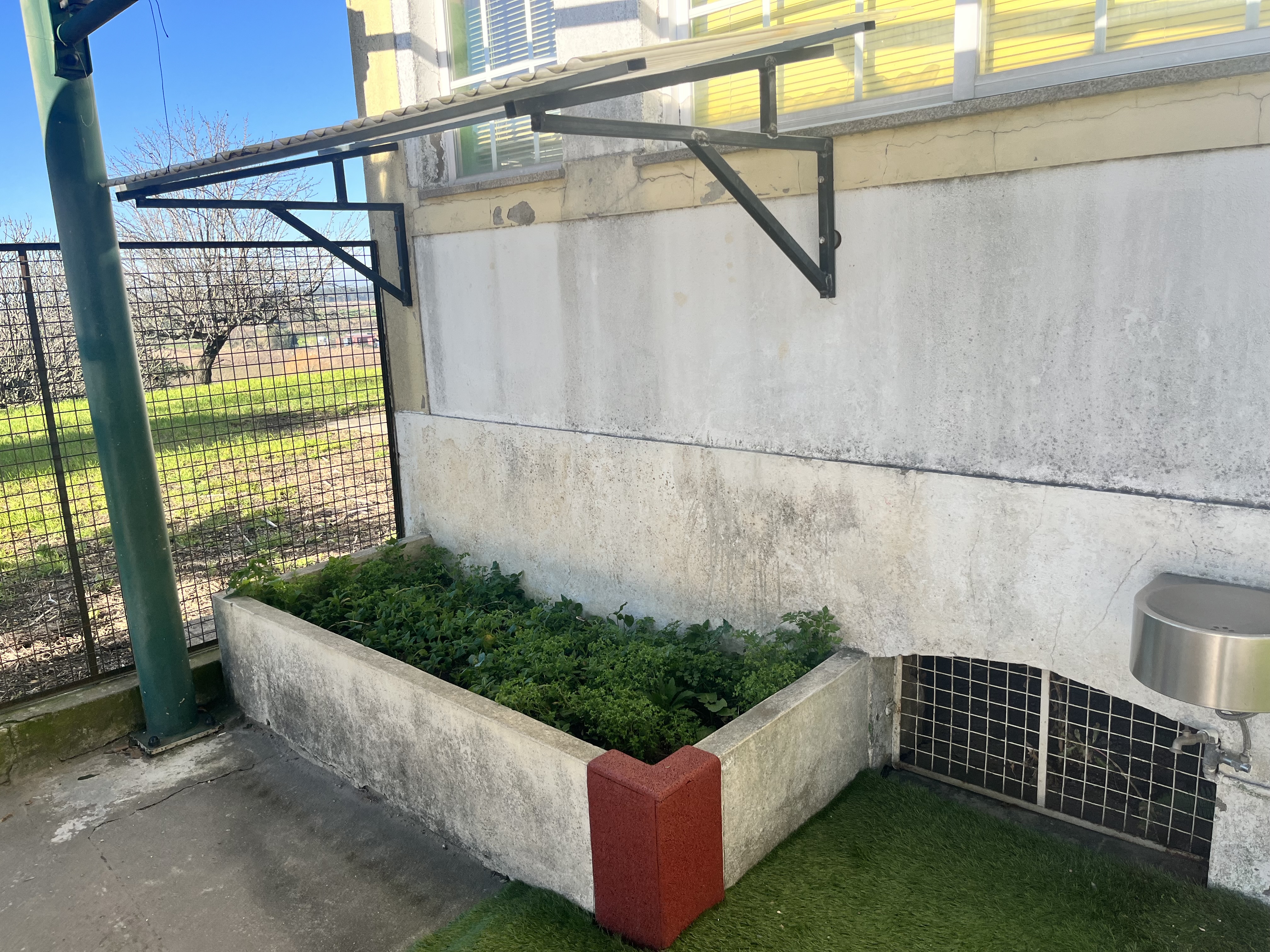 Horta a Construir
