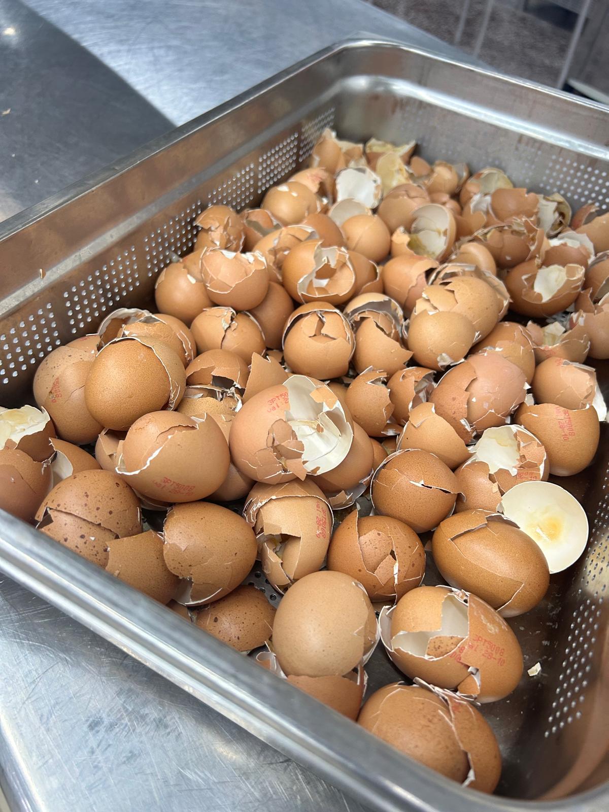 Recolha das cascas de ovos para fertilizar à terra.