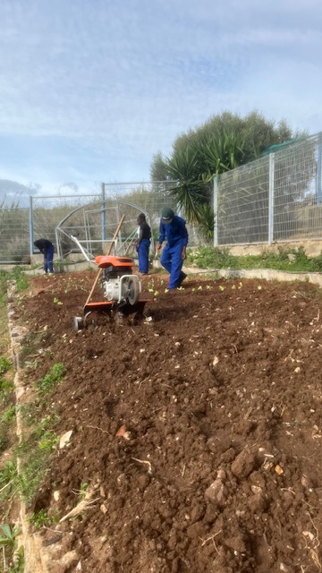 Preparação do terreno - Curso de Jardinagem