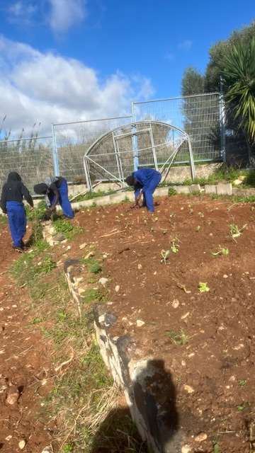 Plantação - Curso de Jardinagem
