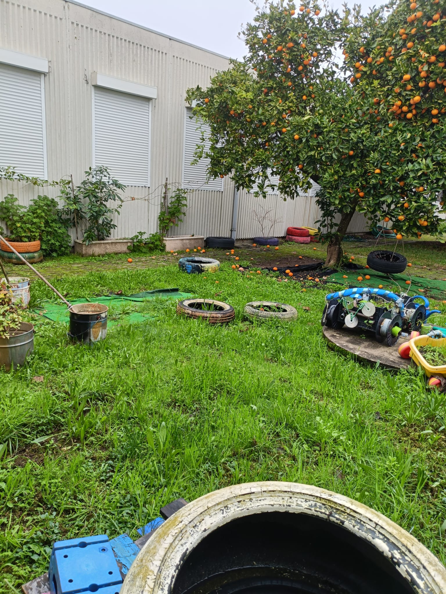 Espaço com árvores de fruto