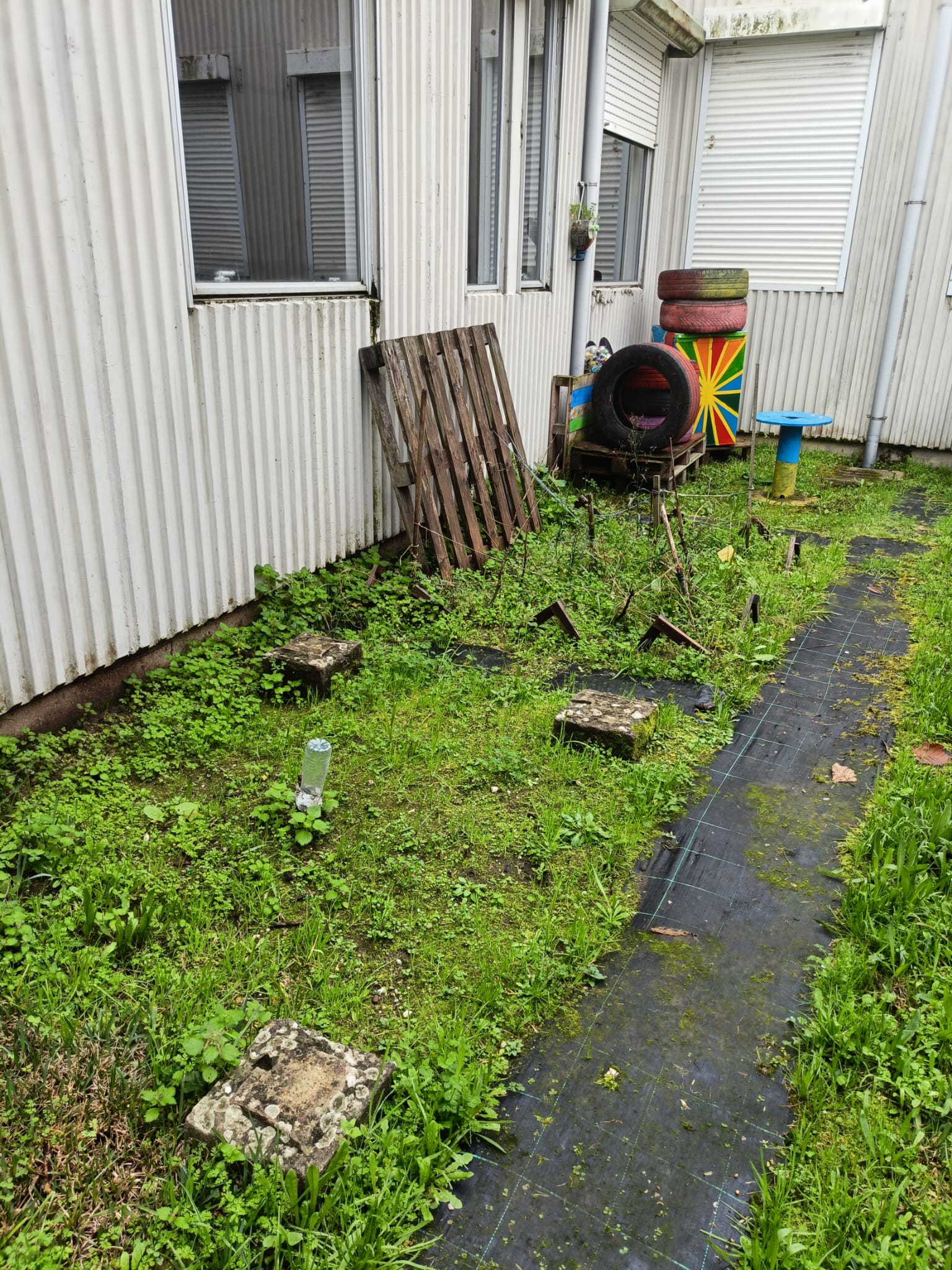 Espaço onde antes estavam plantados tomates e melância, onde as ervas invasoras ganharam espaço durante o Inverno