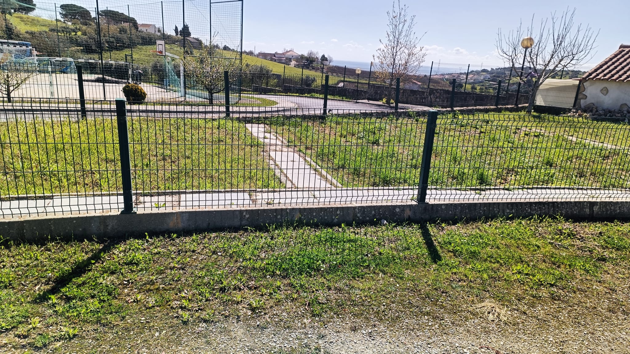 Fotografia da nossa horta a 25 de janeiro de 2025