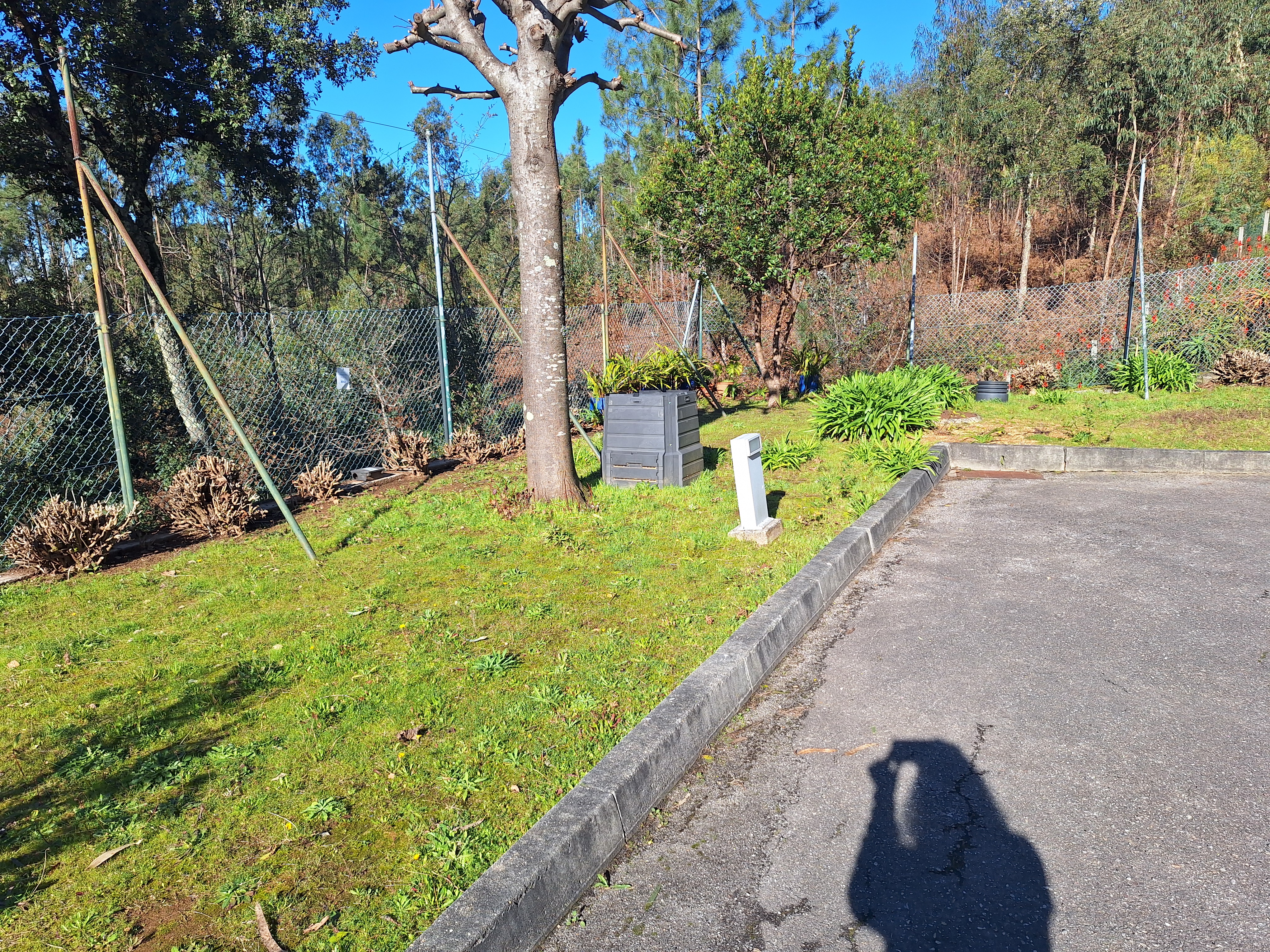 Espaço disponível para a Horta. Ainda sem tratamento. Col local destinado para a compostagem.