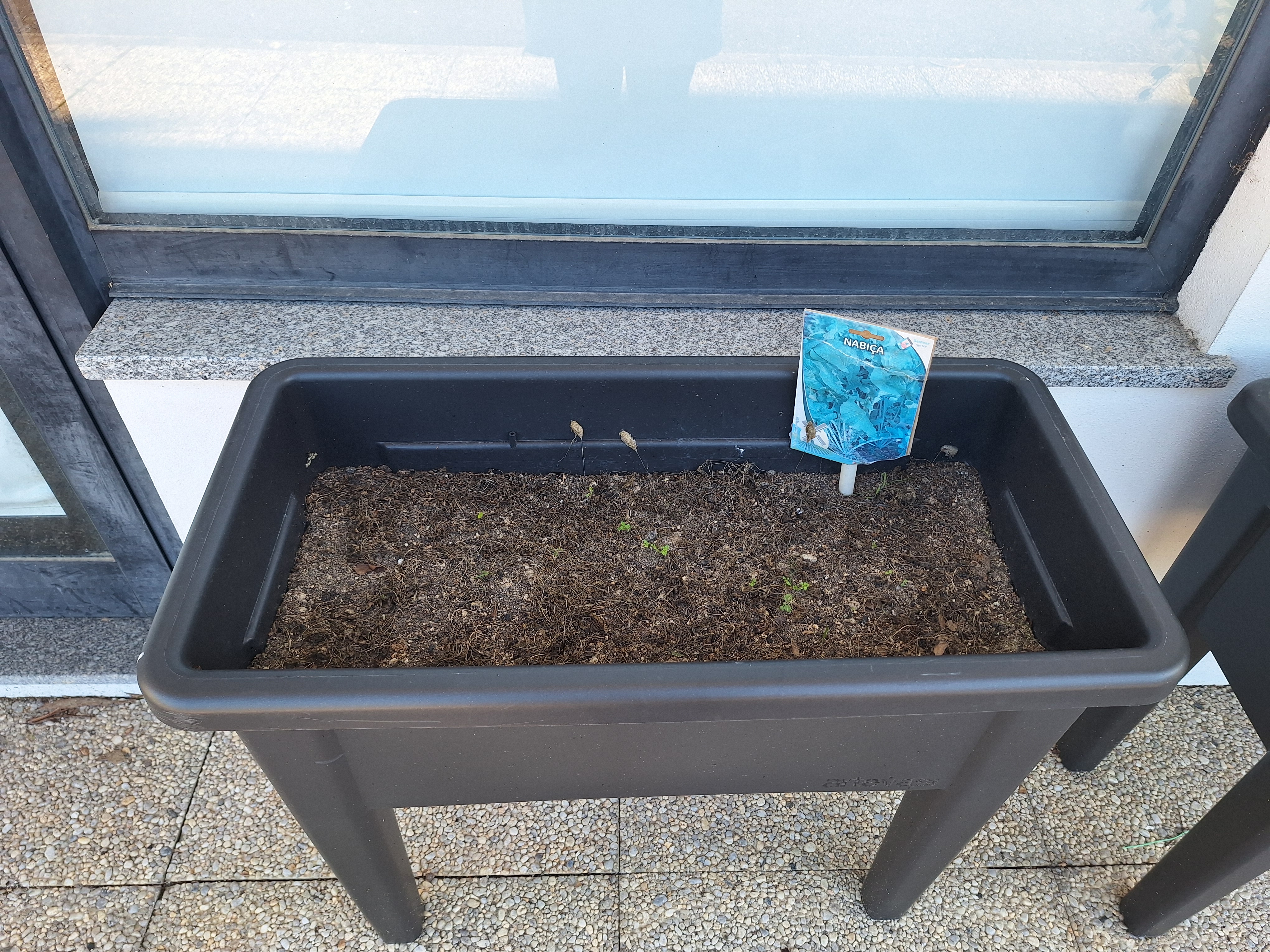 plantações 3