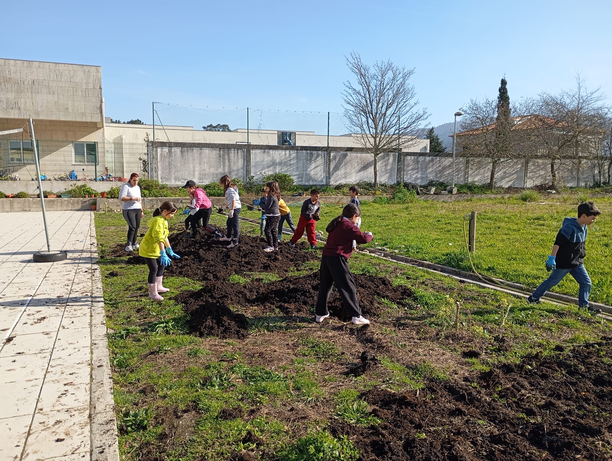 As primeiras etapas de tratamento do solo estiveram a cargo dos alunos do terceiro ano, com a colaboração de alguns docentes e encarregados de educação.