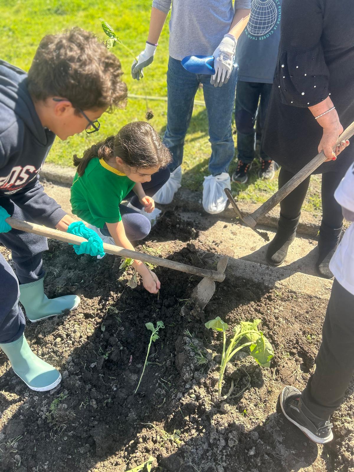 A família, a escola e toda a comunidade educativa trataram da recolha de sementes, da sementeira, da plantação, das hortícolas e da manutenção da horta biológica.