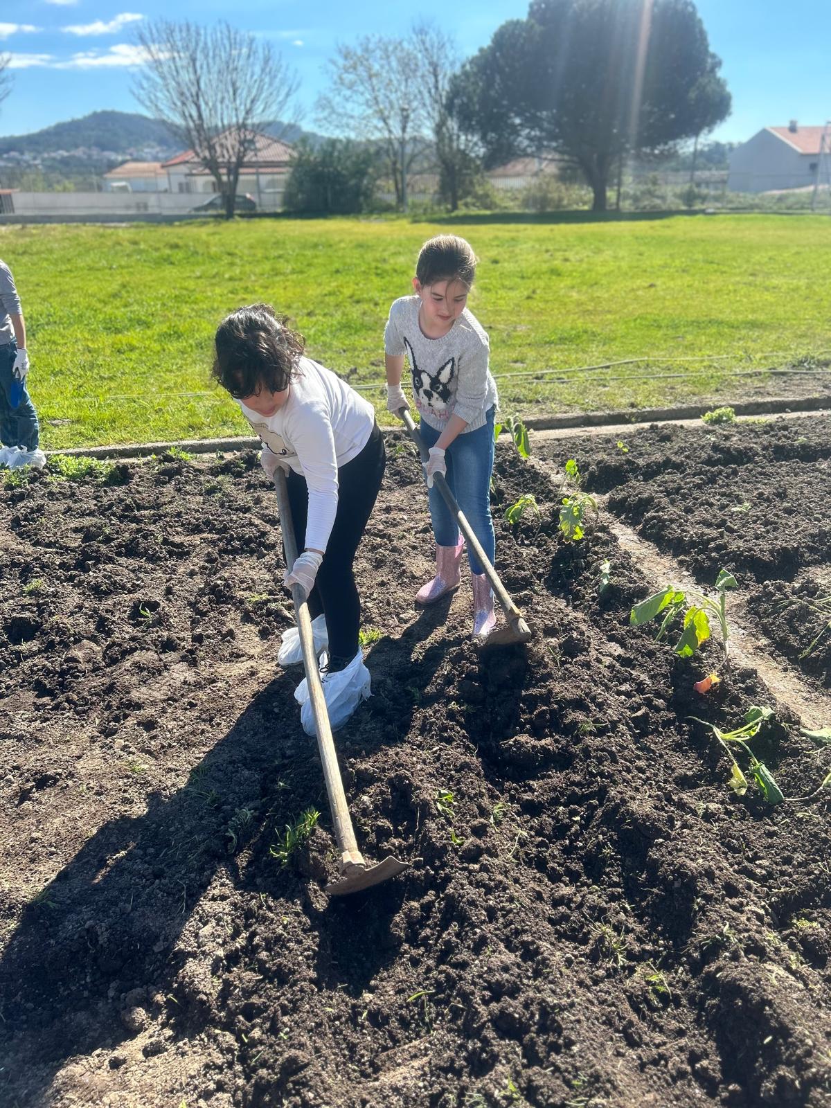 Os principais trabalhos da horta (compostagem, fertilização, sementeira, plantação), foram feitos pelos alunos, docentes e encarregados de educação.