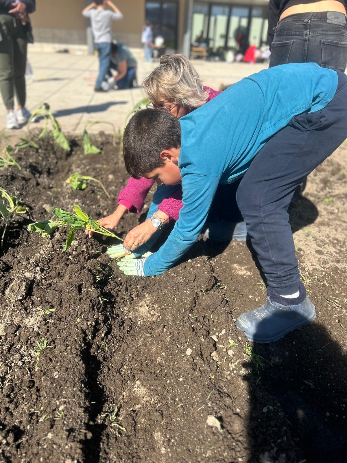 Foi a família e outras pessoas da comunidade educativa que estiveram envolvidas na ajuda do "ensinar a fazer" os distintos trabalhos agrícolas.