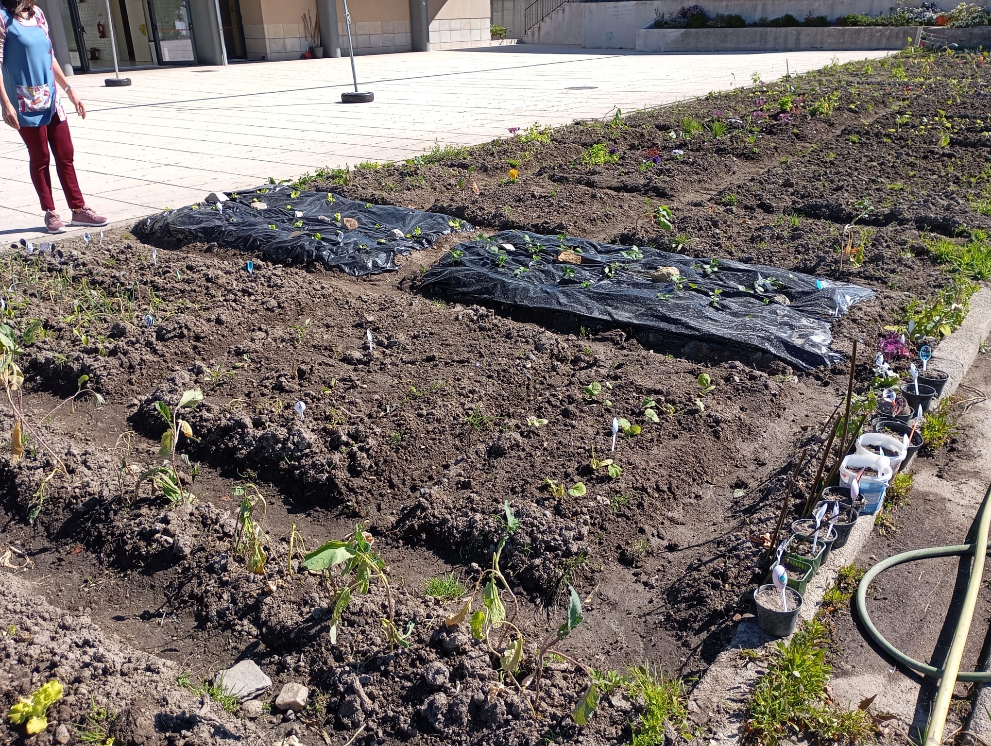 Em conjunto, desenvolveu-se uma maior “consciência ecológica” e conhecimentos no âmbito da sustentabilidade e da alimentação saudável.