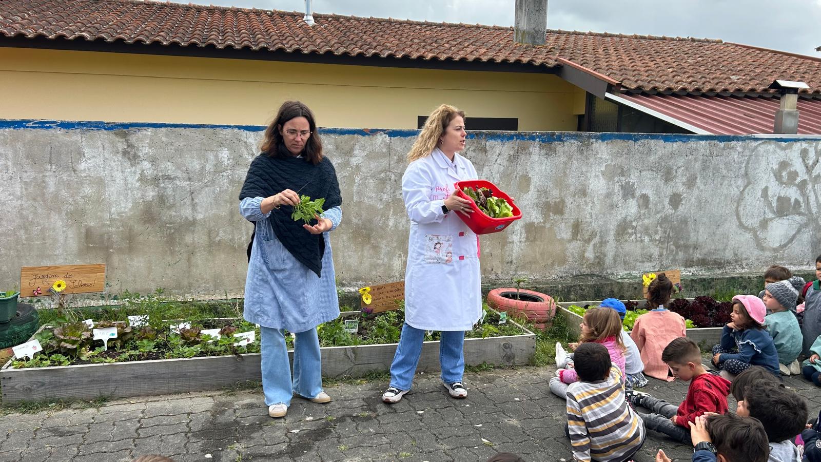 Dia de SALADA DE ALFACE das NOSSAS ECO-HORTAS.