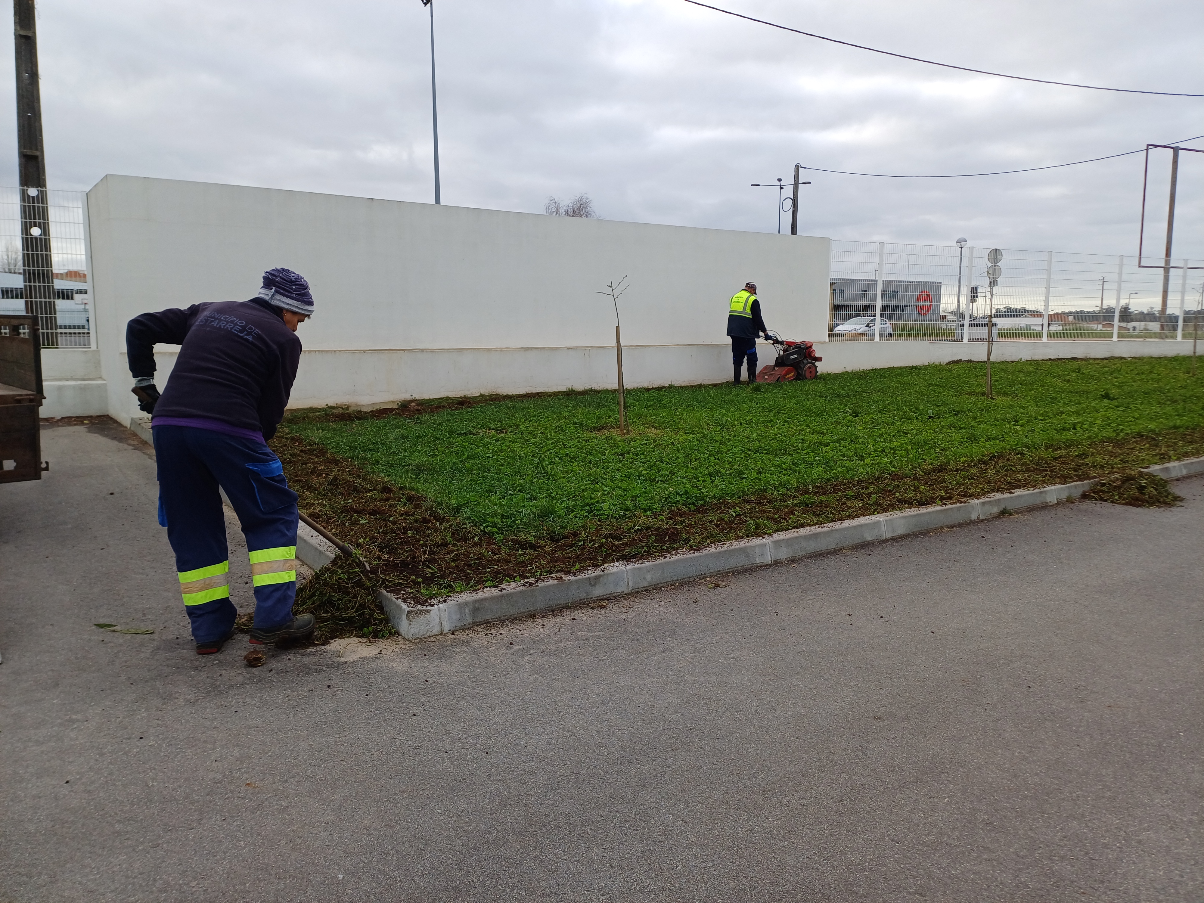 A Câmara Municipal de Estarreja é nossa parceira e colaborou com a preparação do terreno.