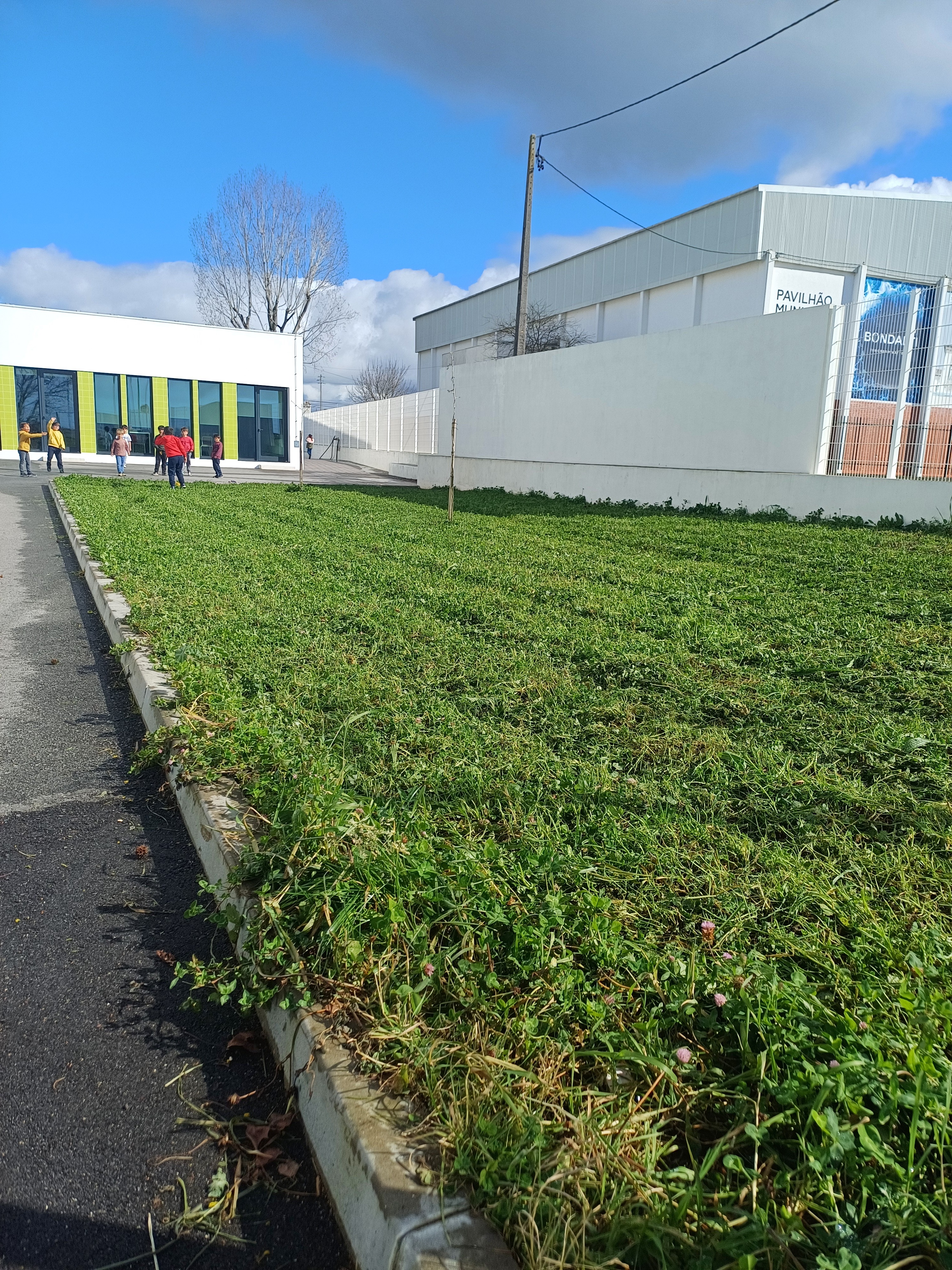 Esta fotografia ilustra o local onde vai nascer a horta escolar. Esta escola ainda está a ser finalizada, pelo que os jardins terão, agora uma 1ª intervenção.