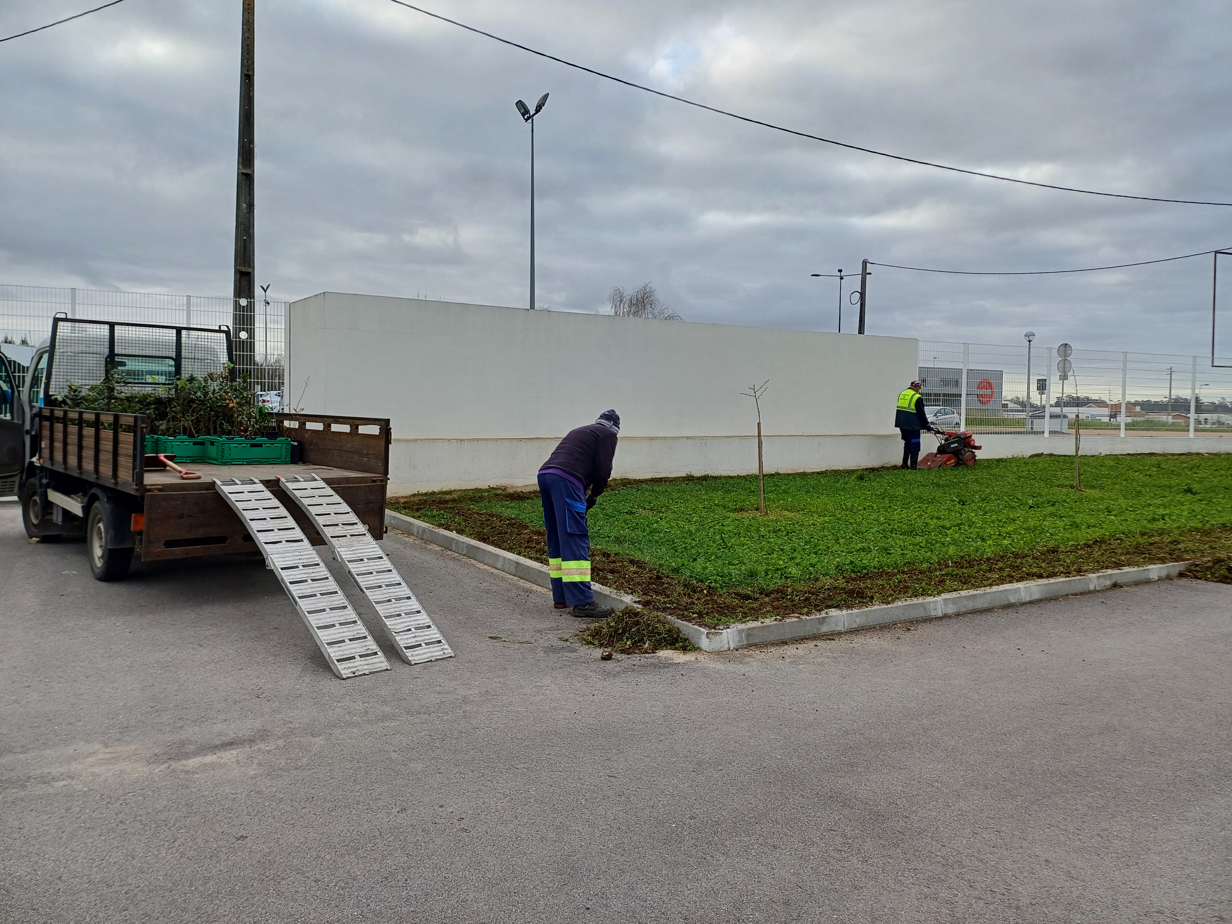 A Câmara Municipal de Estarreja é nossa parceira e colaborou com a preparação do terreno.