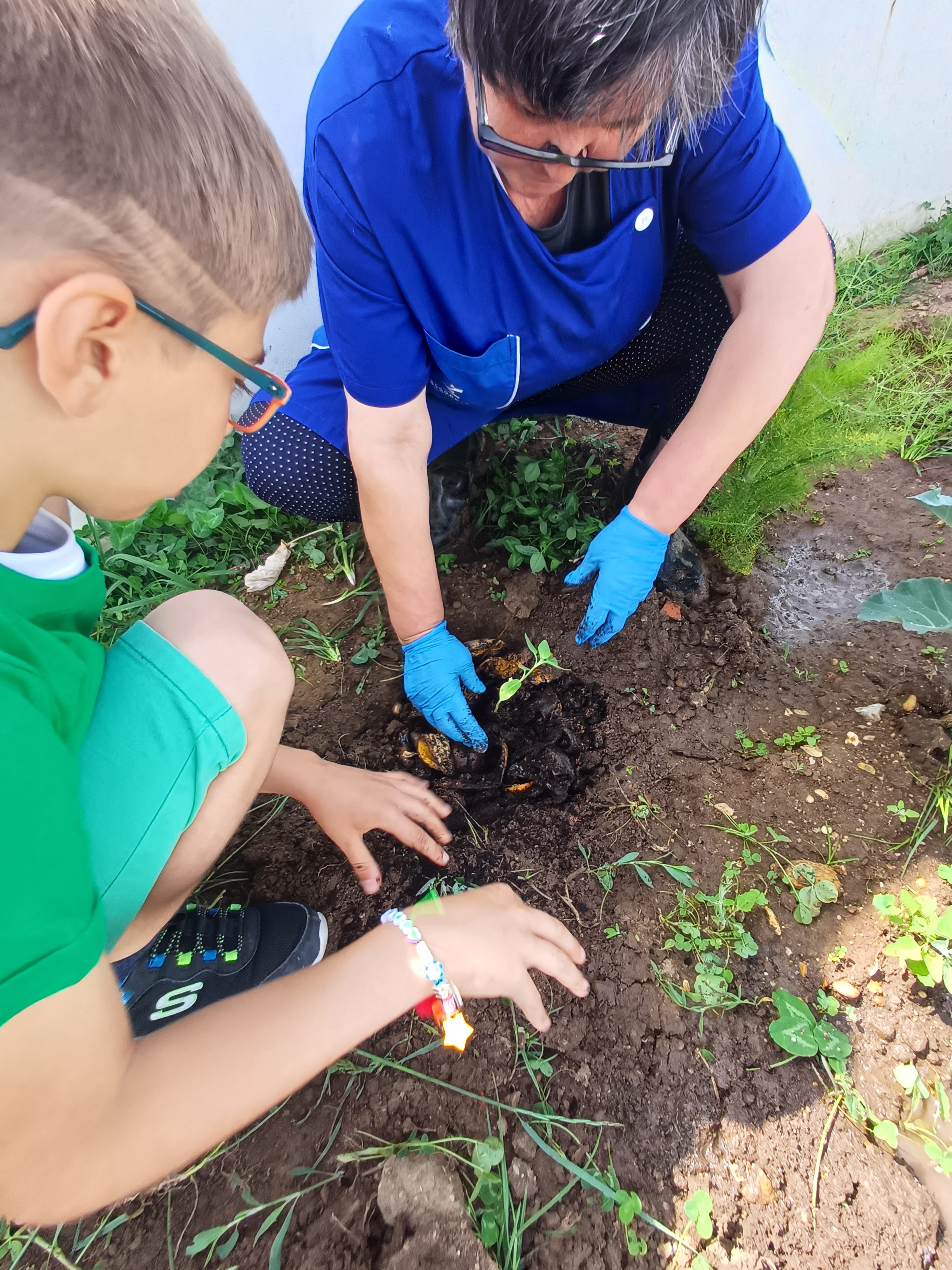 Plantação de hortícolas