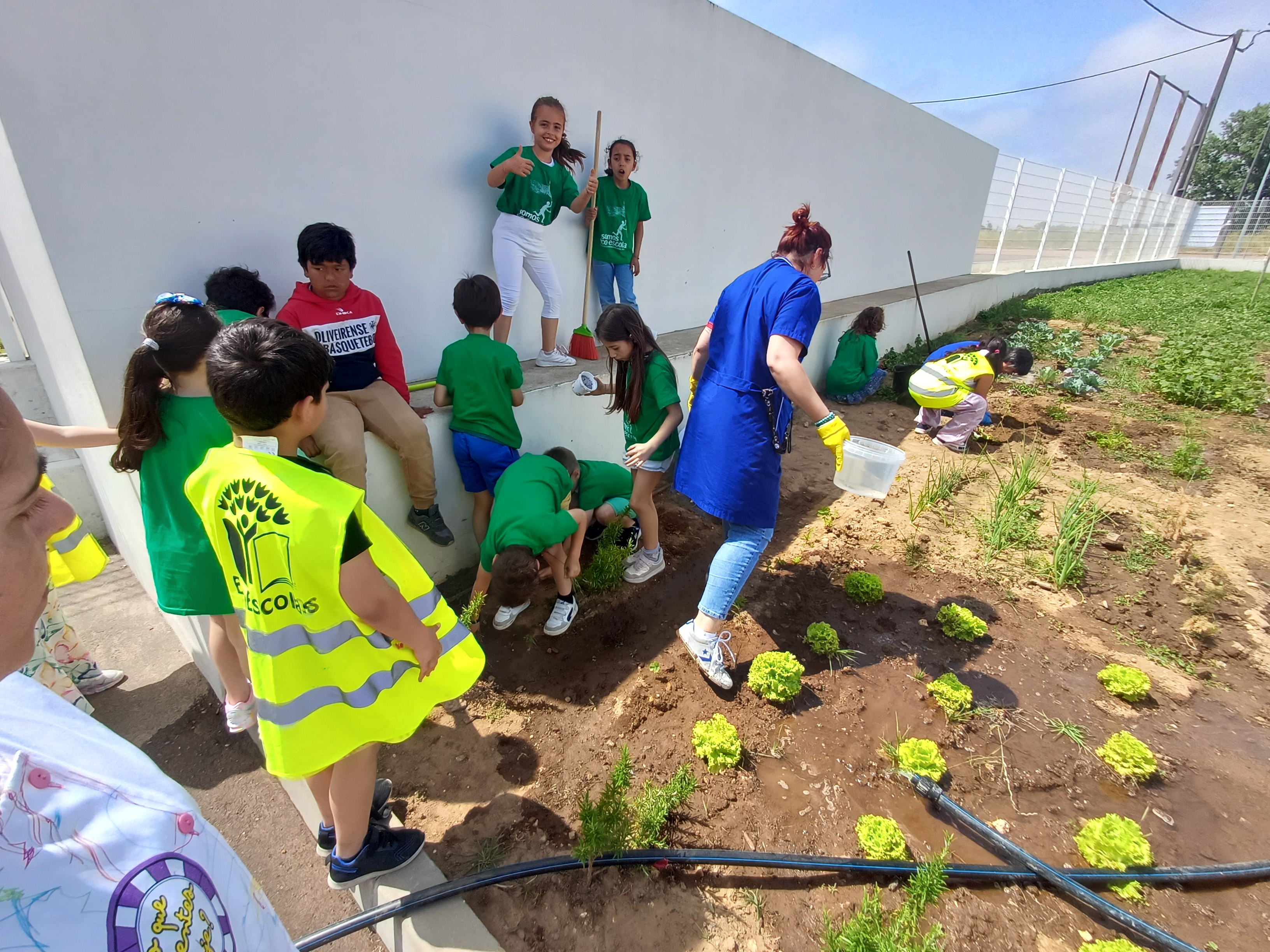 Rega da Plantação