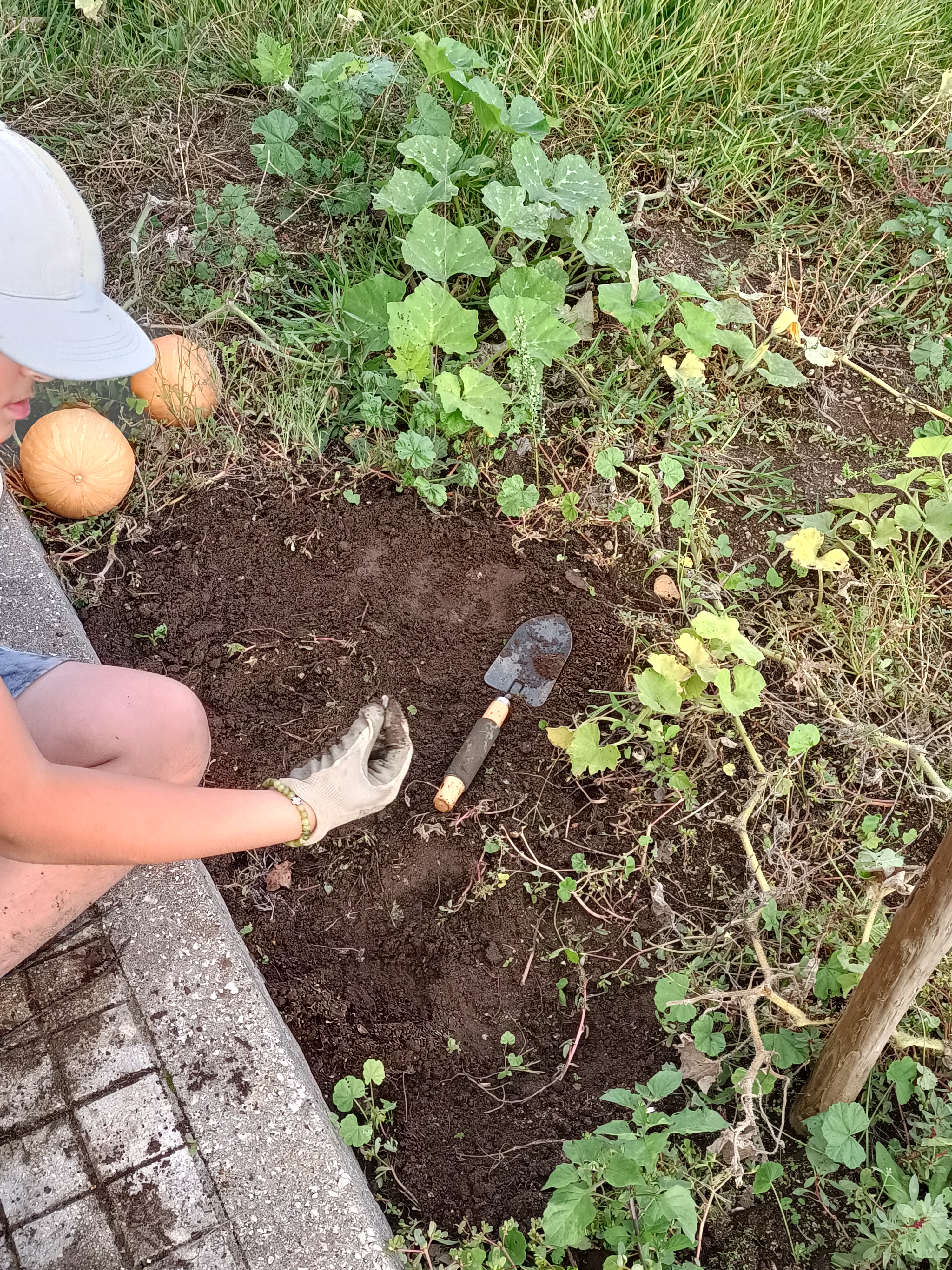 À descoberta da biodiversidade