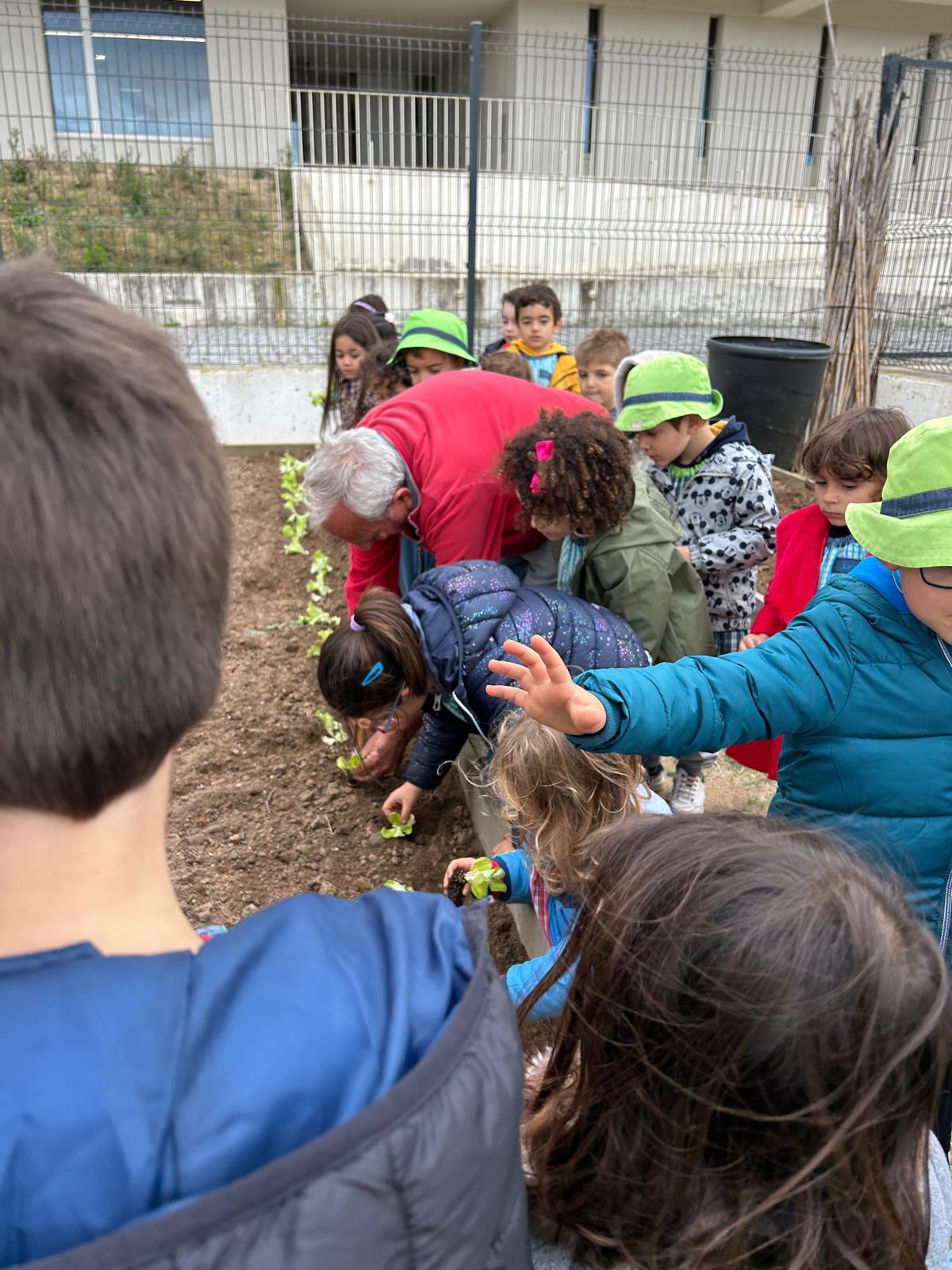 As primeiras plantações