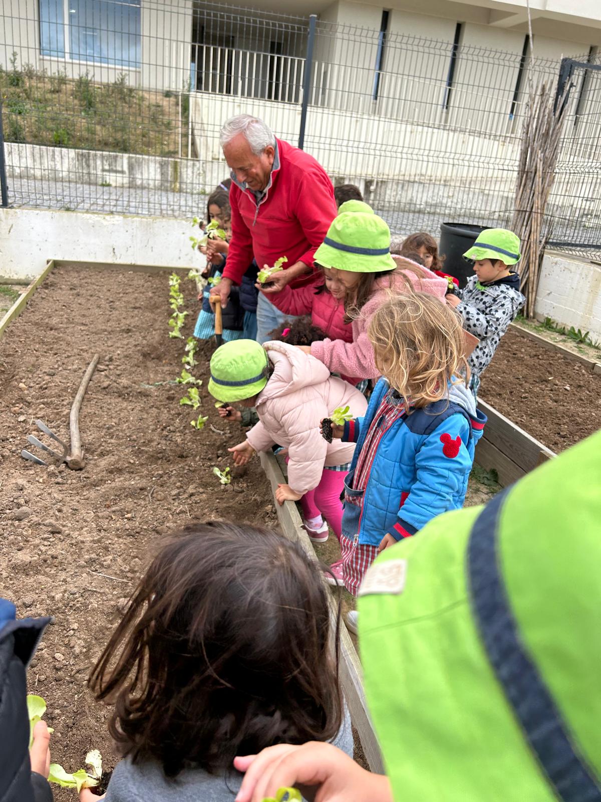 Continuamos as plantações