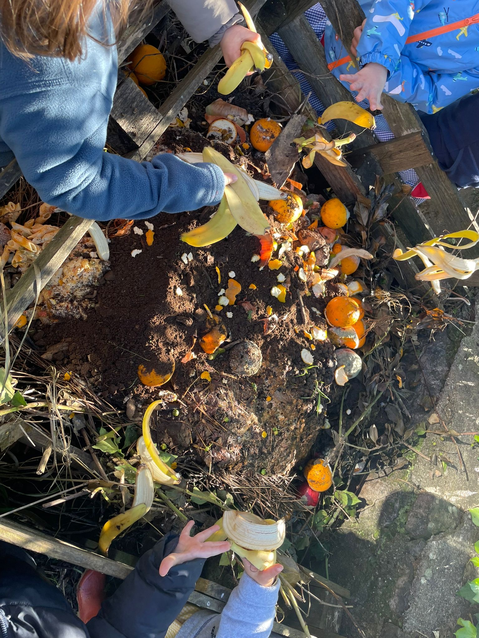 Mãos à obra! Há que apanhar as laranjas que caiem das árvores para manter o espaço limpo. E por no compostor é a melhor forma.